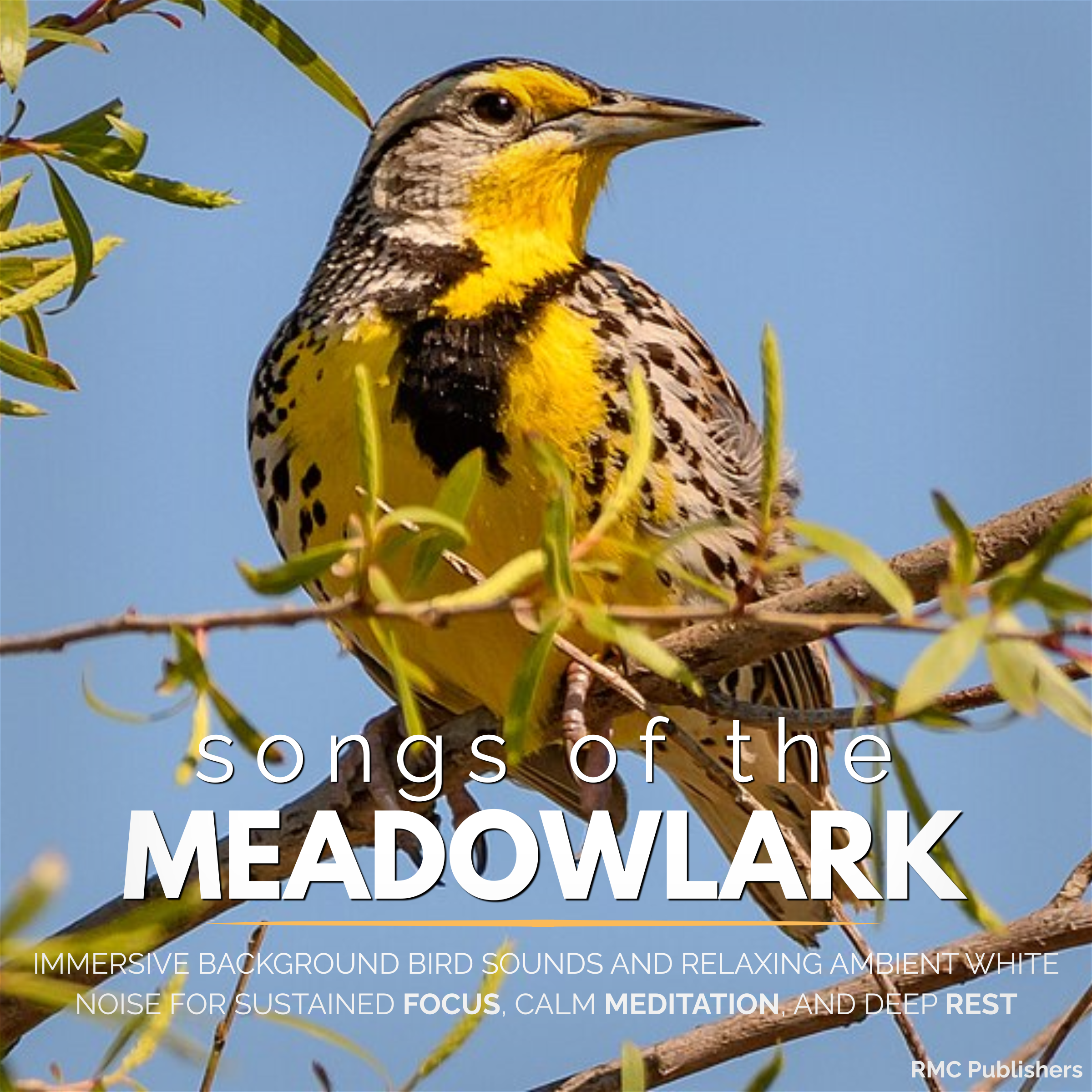 Songs of the Meadowlark