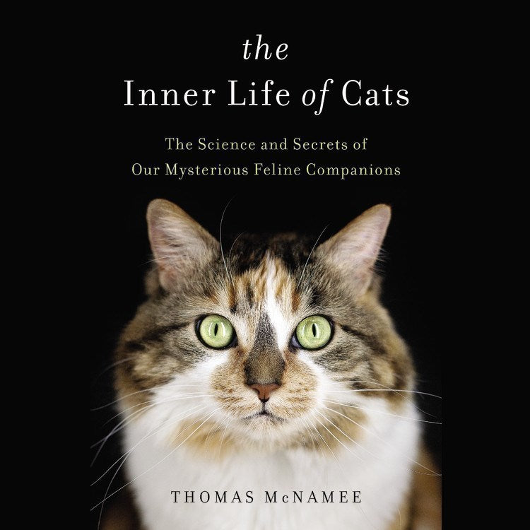 The Inner Life of Cats