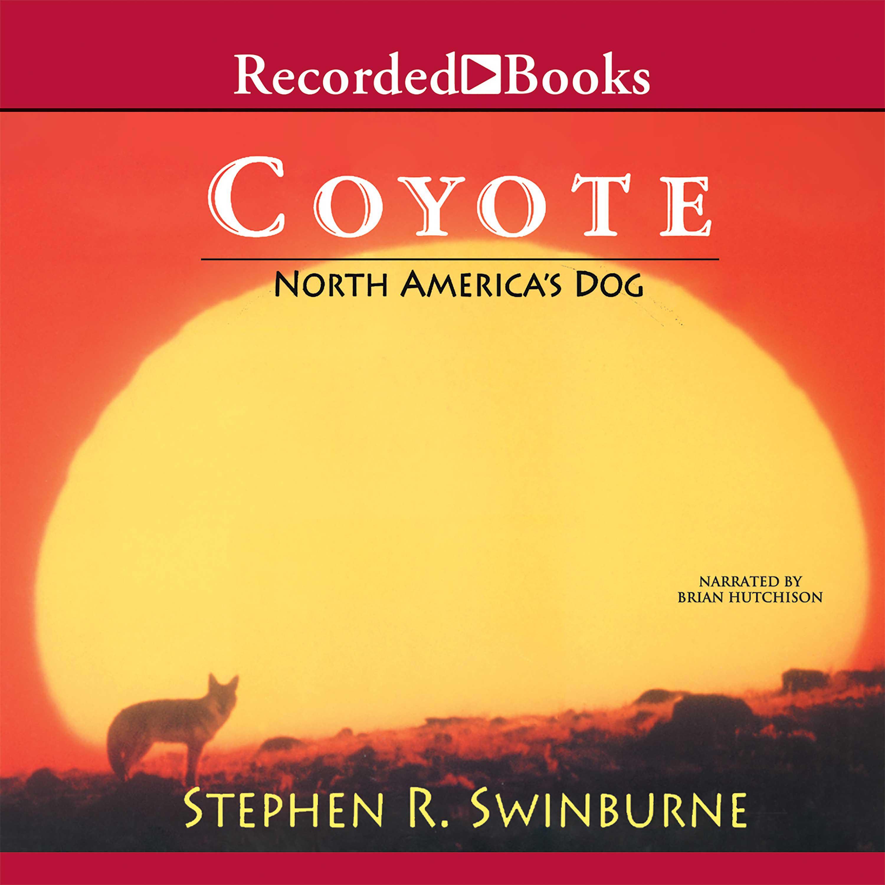 Coyote