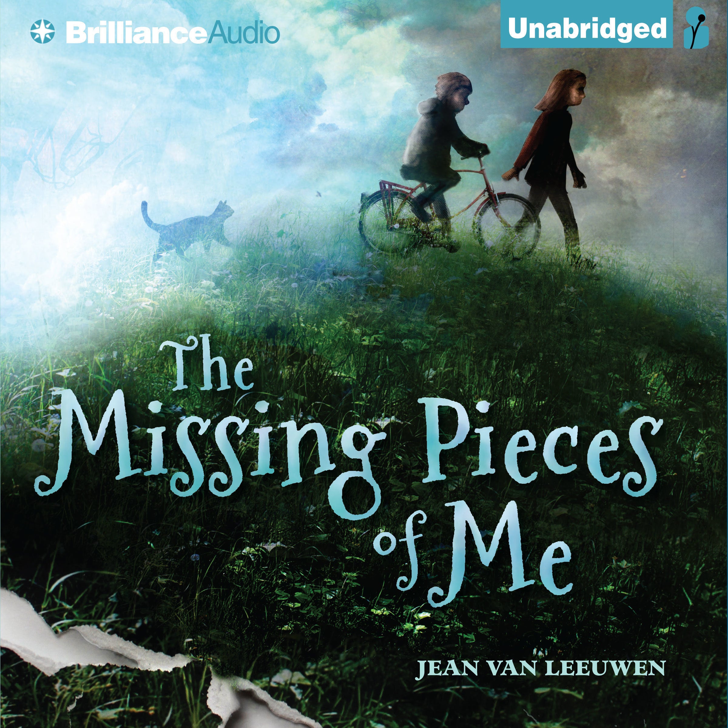 The Missing Pieces of Me