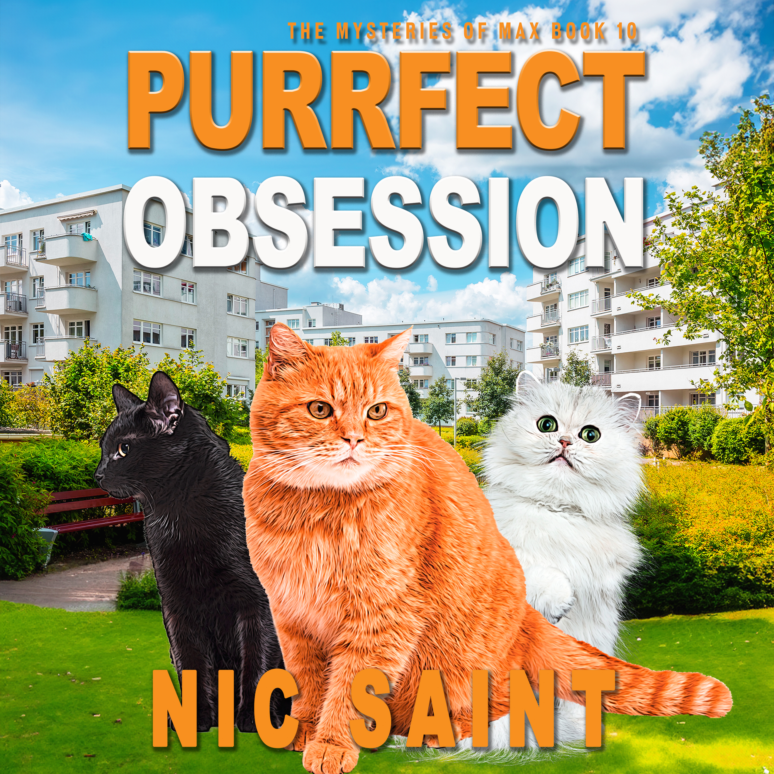 Purrfect Obsession