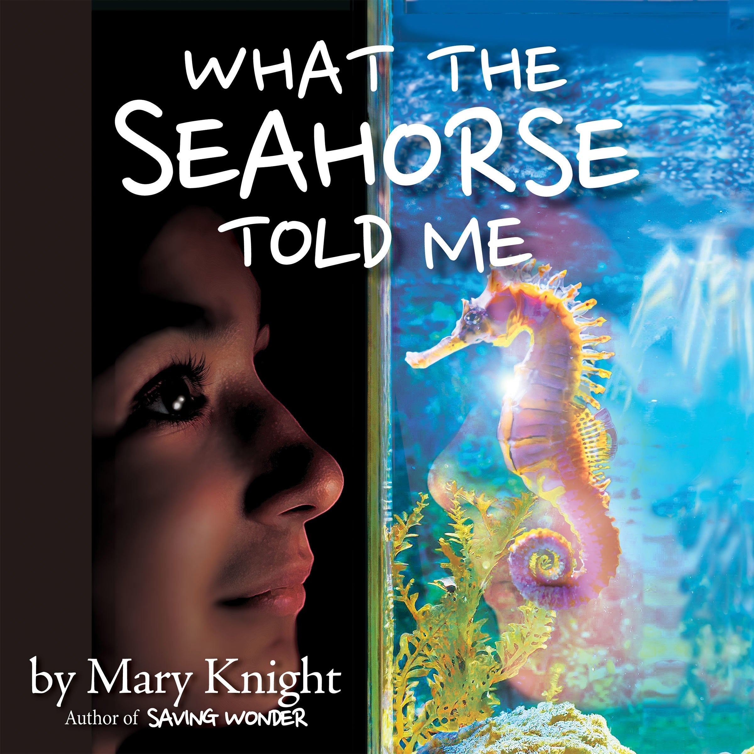 What the Seahorse Told Me