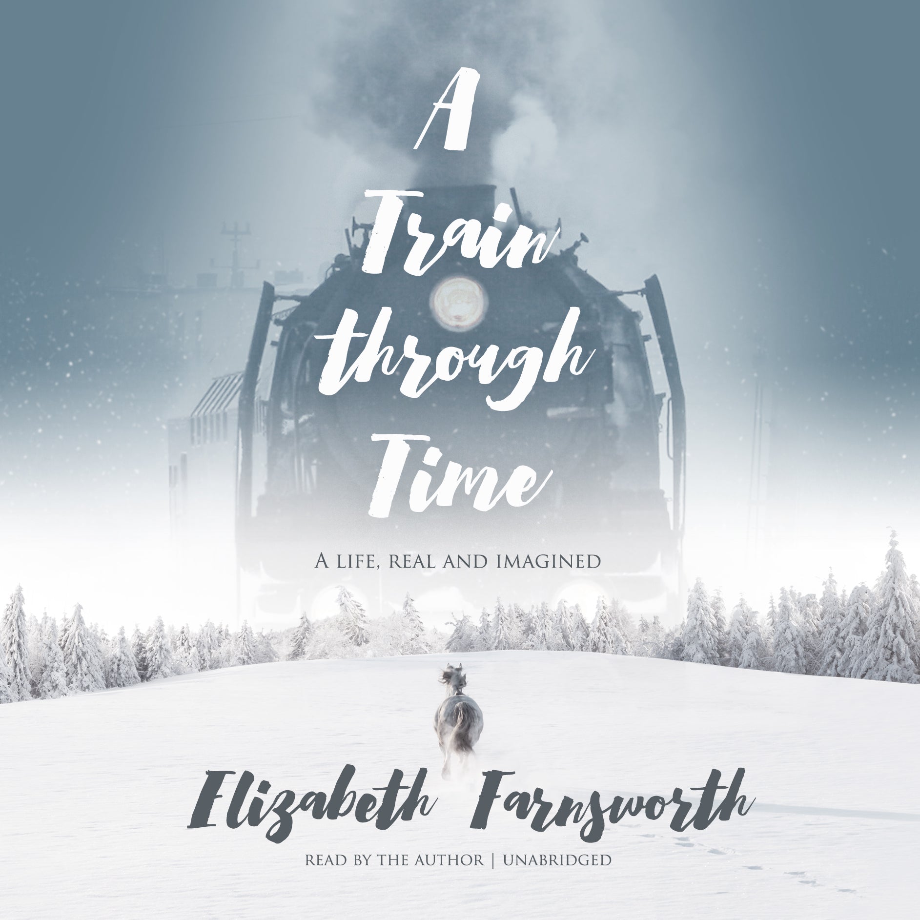 A Train through Time