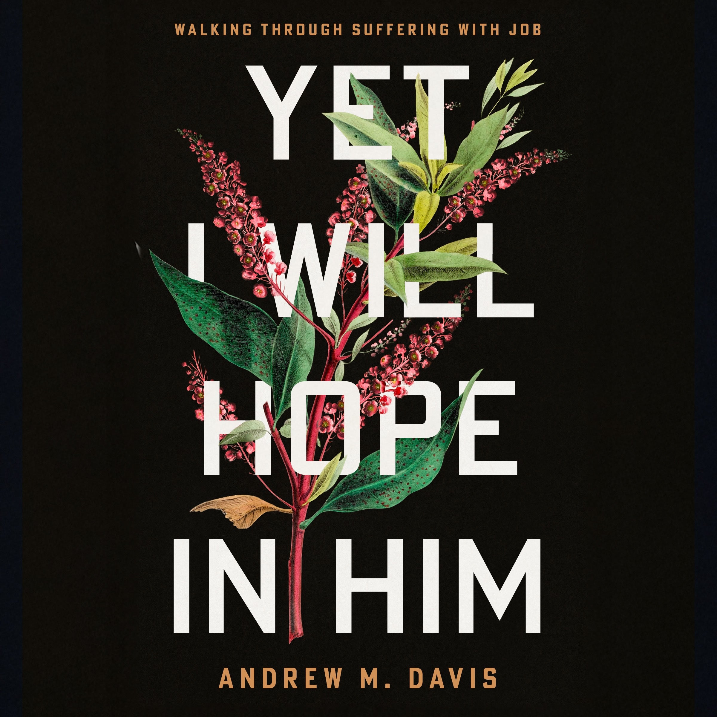 Yet I Will Hope in Him
