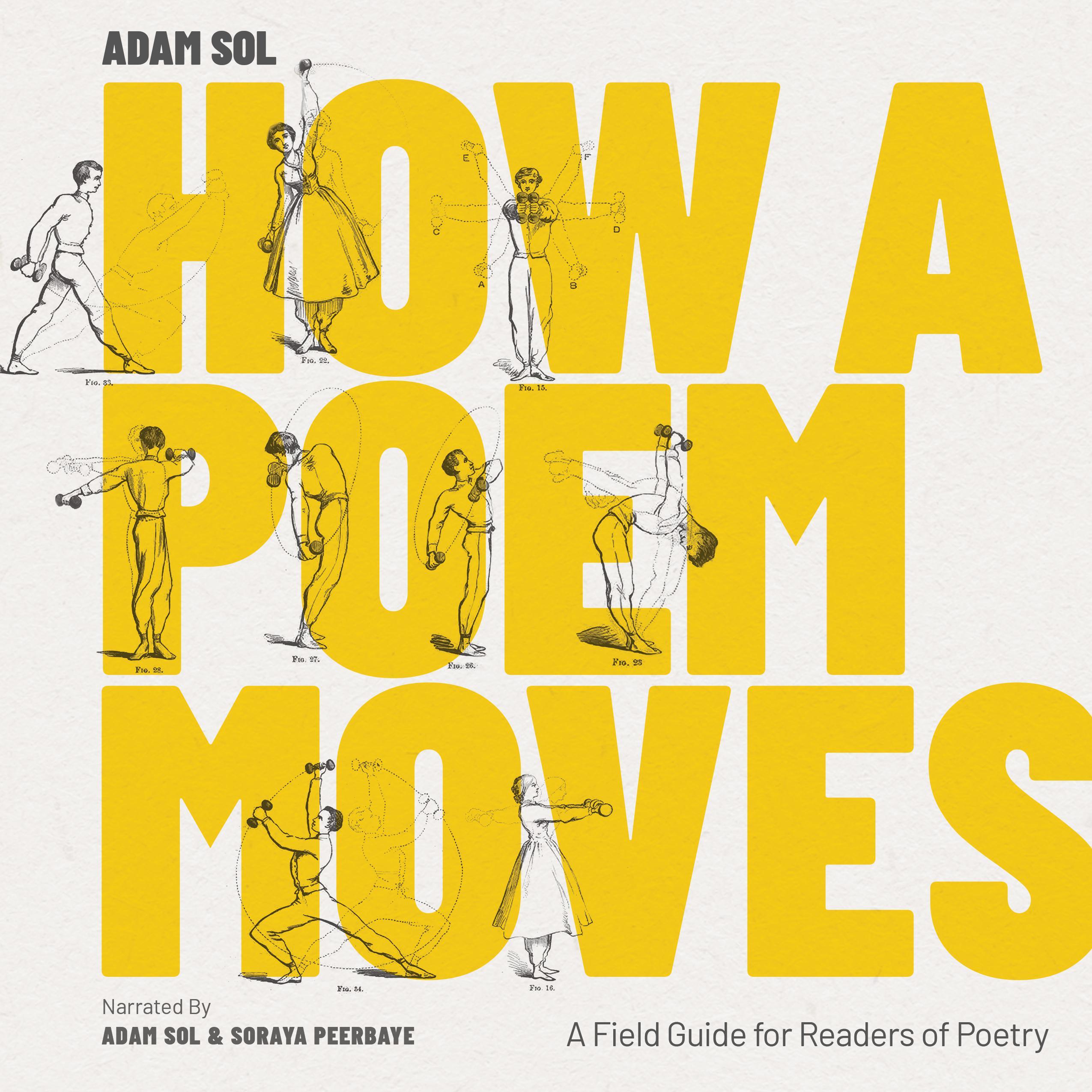 How a Poem Moves 