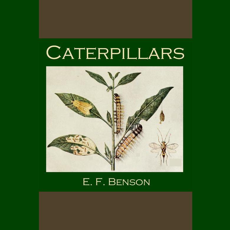 Caterpillars