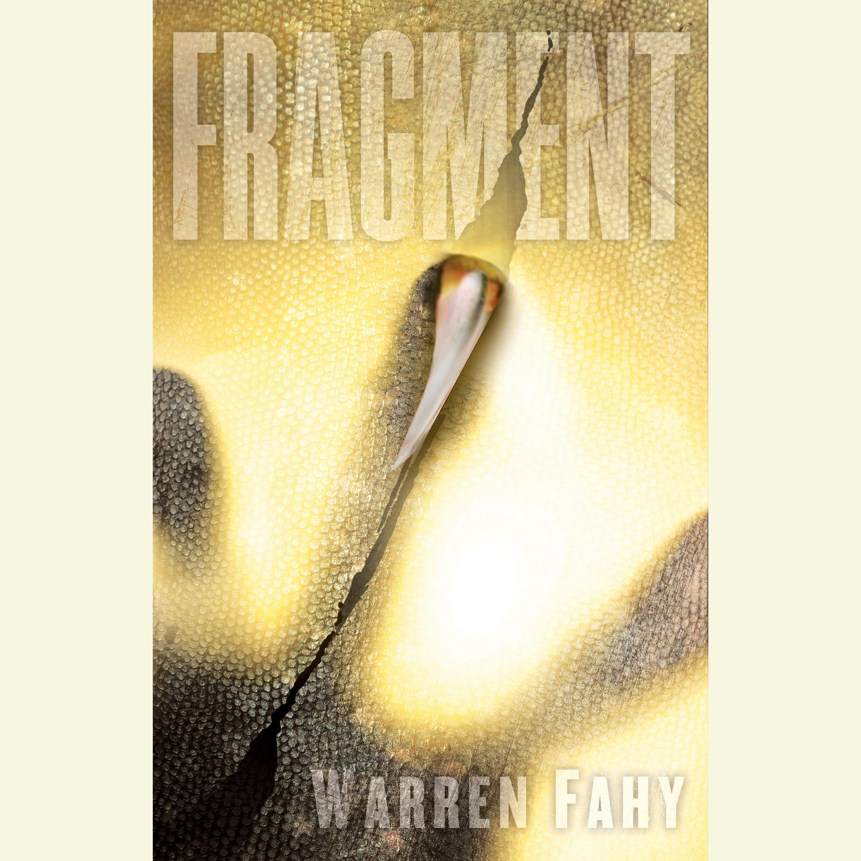 Fragment