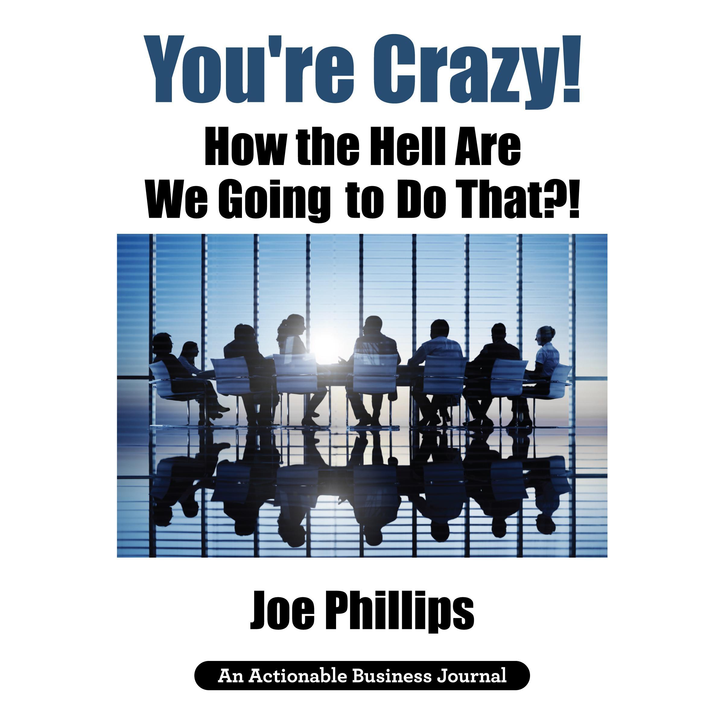 You're Crazy! How the Hell Are We Going to Do That?!
