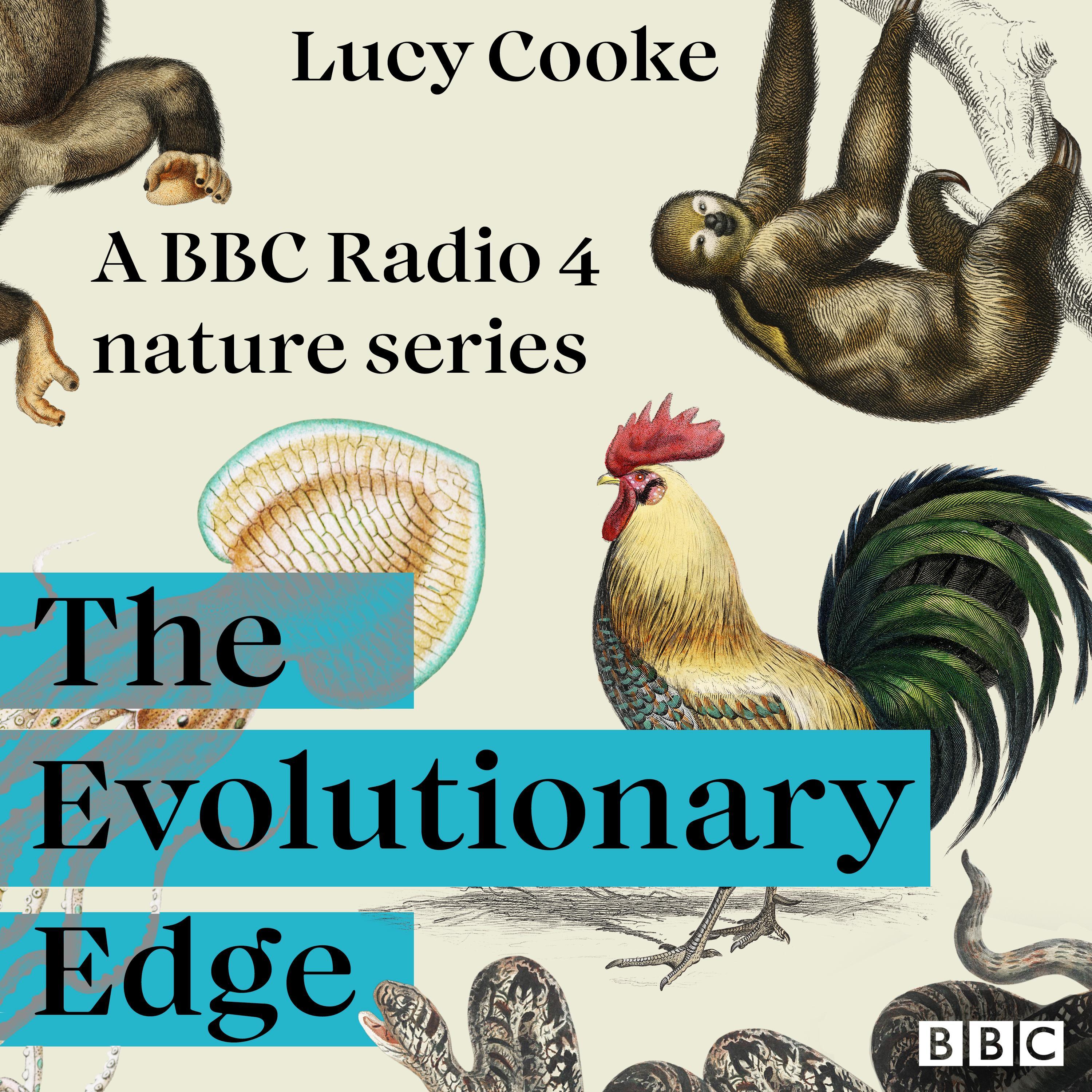 The Evolutionary Edge