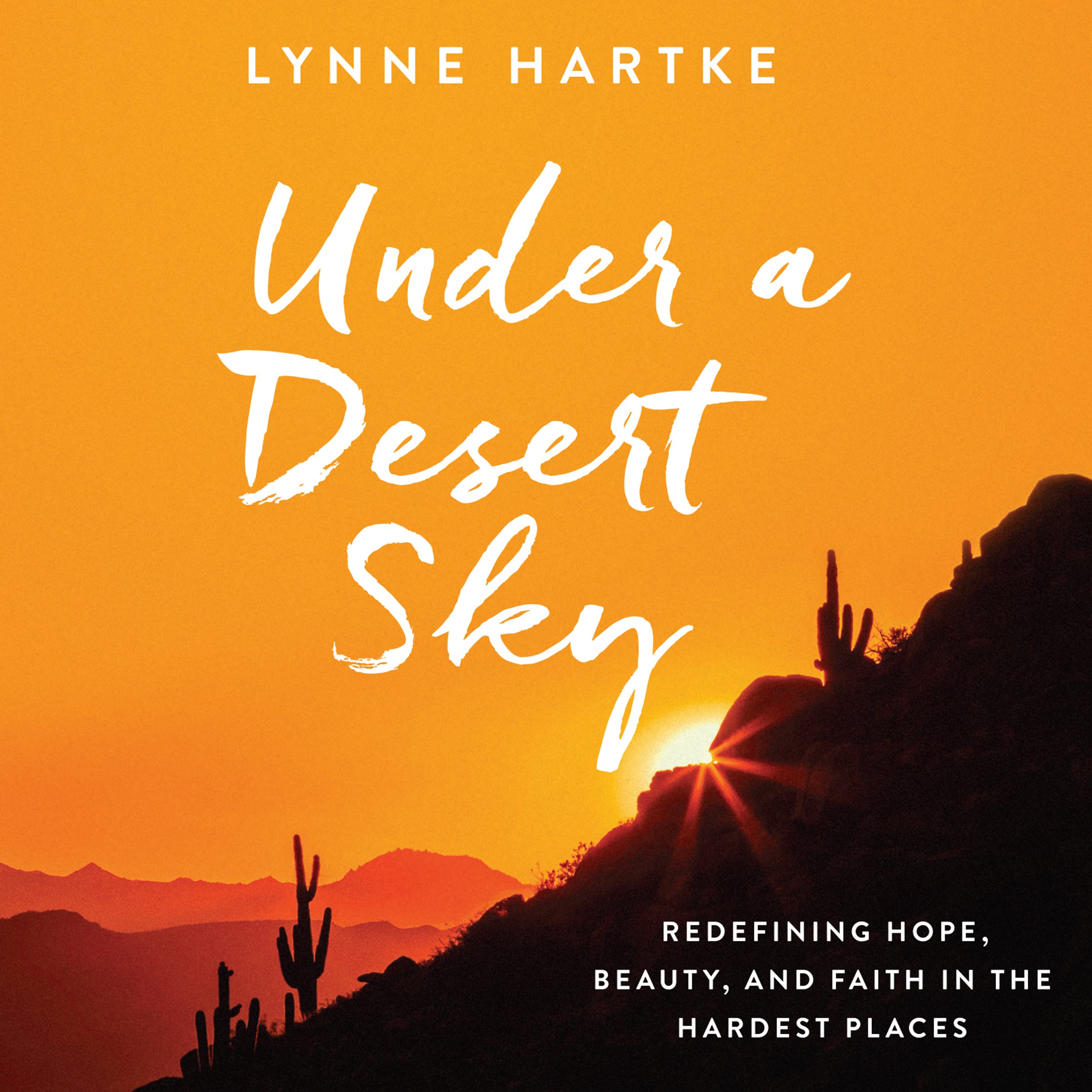 Under a Desert Sky