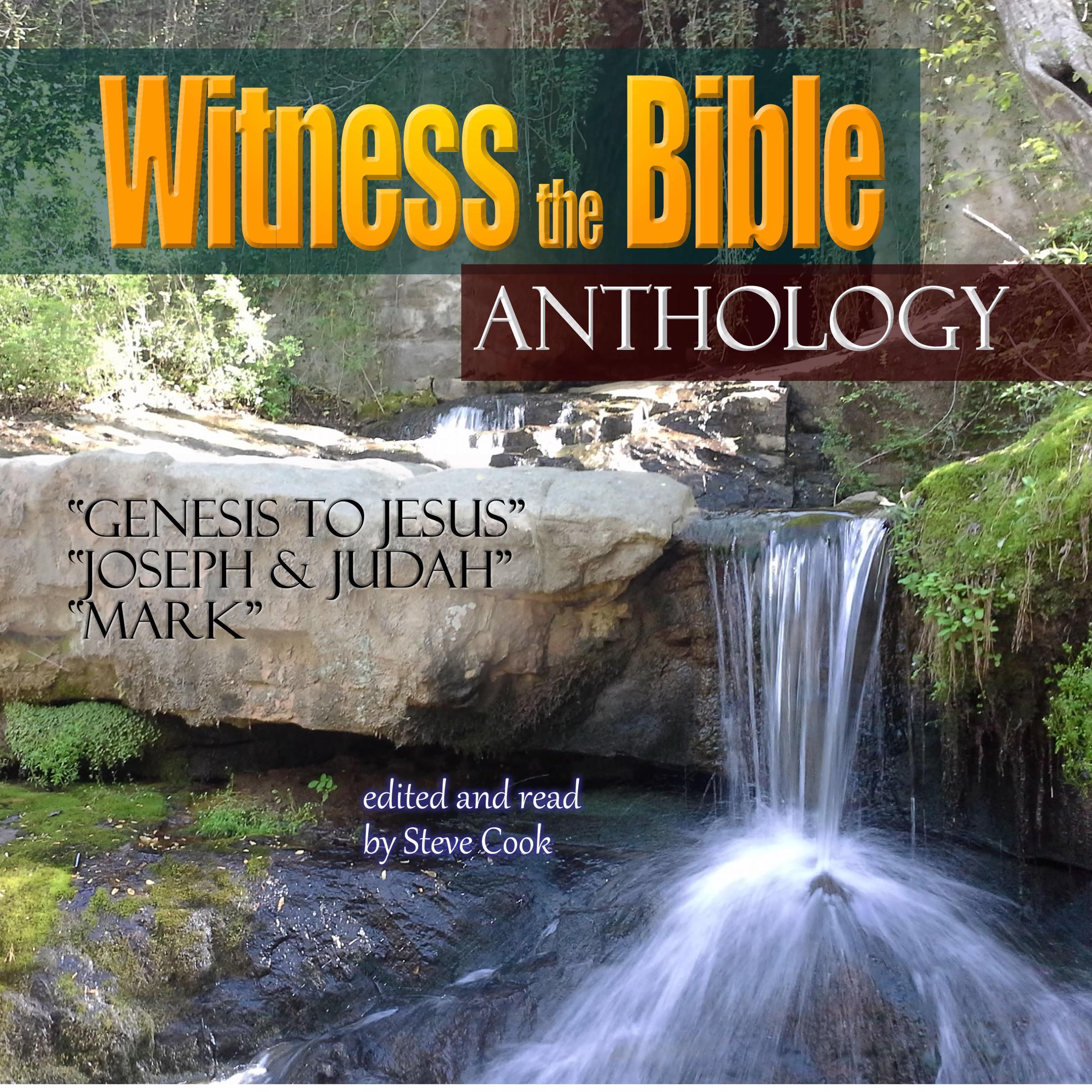 Witness the Bible