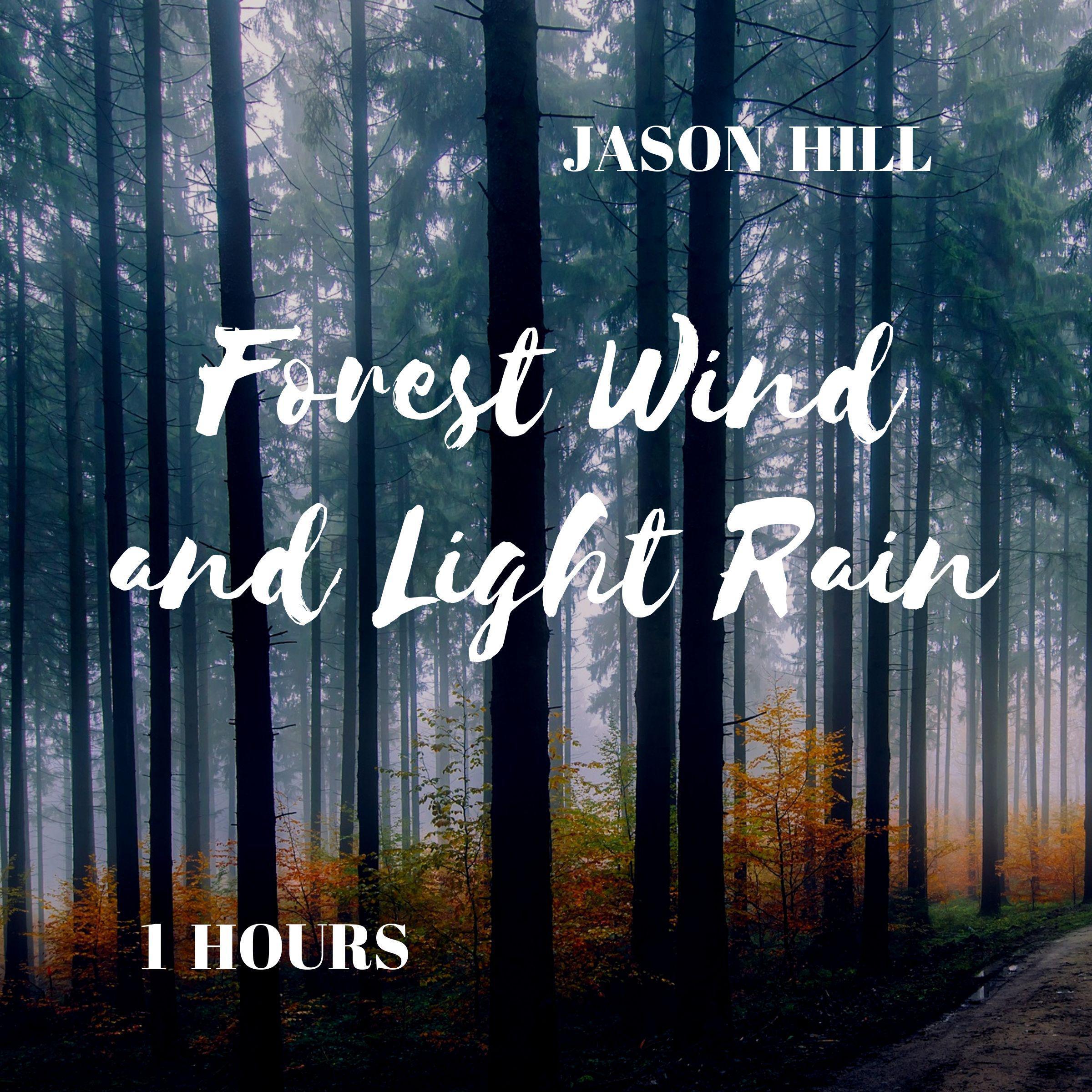 Forest Wind and Light Rain