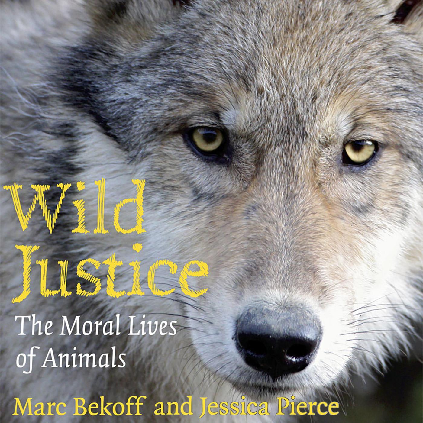 Wild Justice