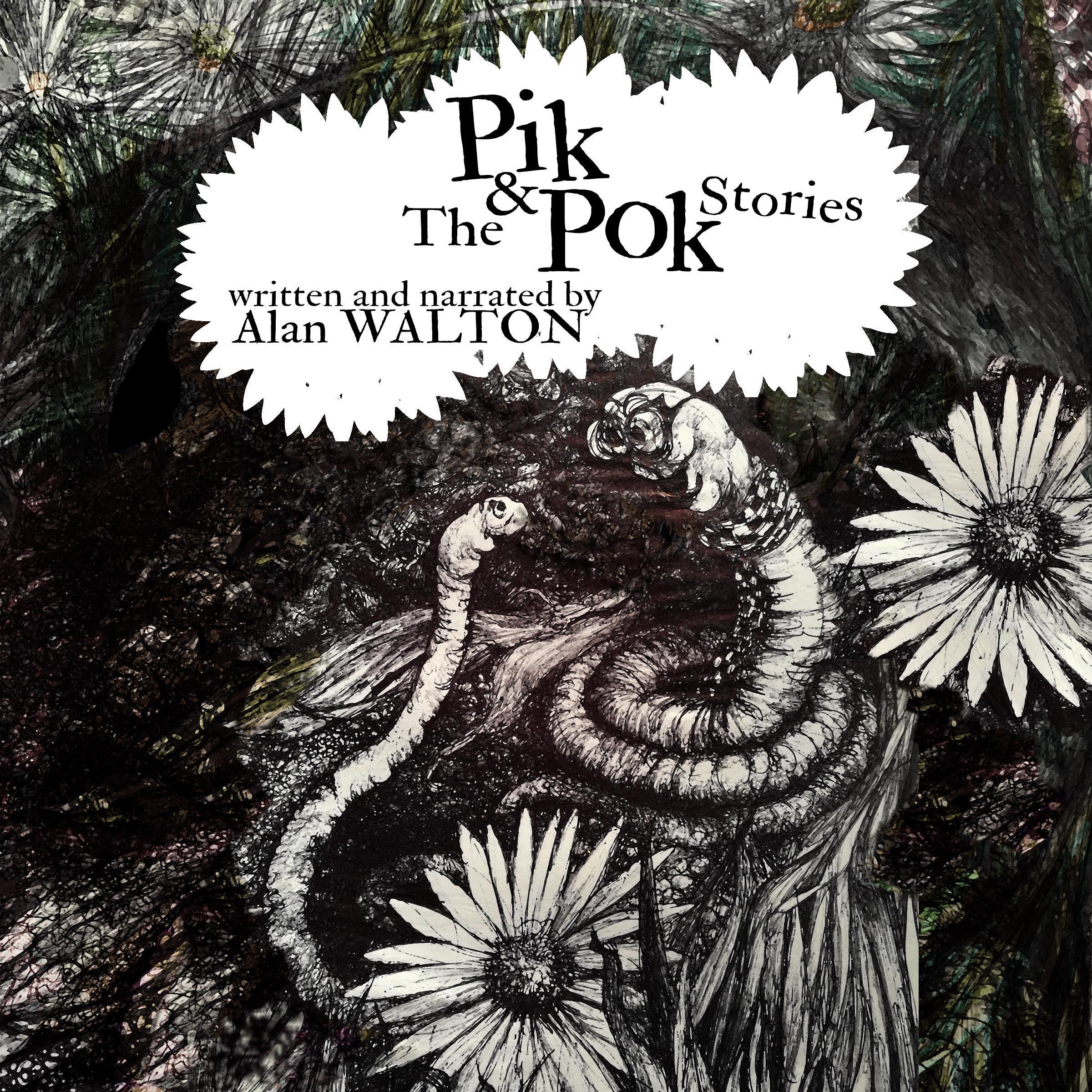 THE PIK & POK STORIES