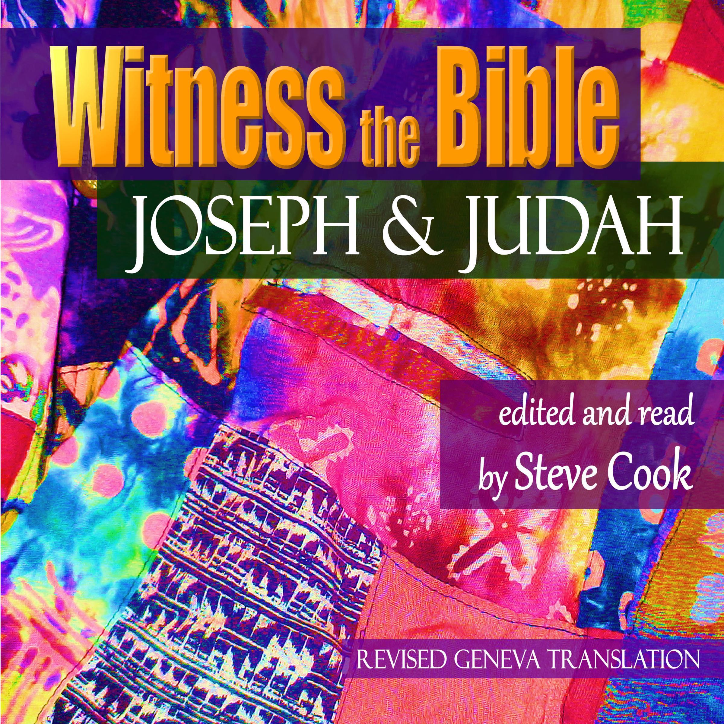 Witness the Bible