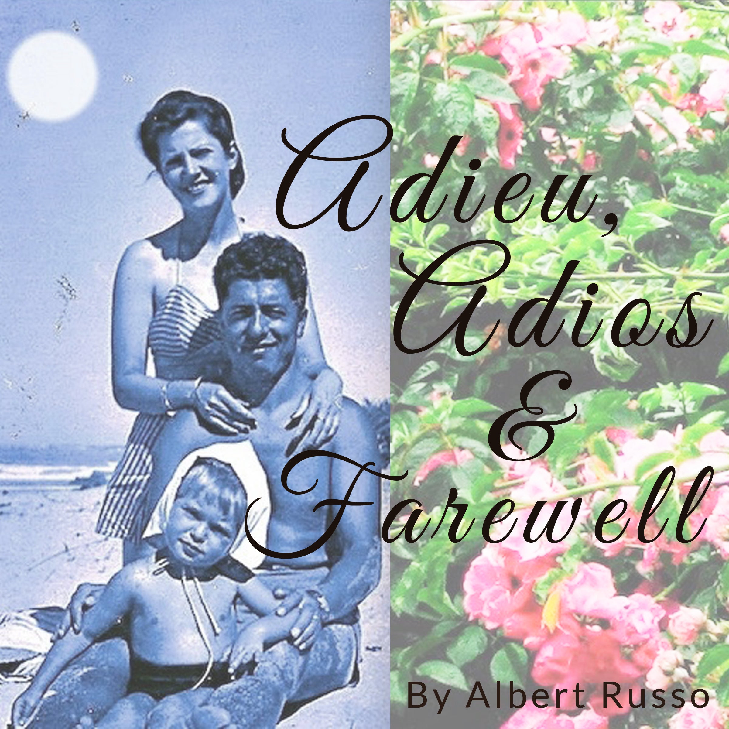 Adieu,  Adios &amp; Farewell