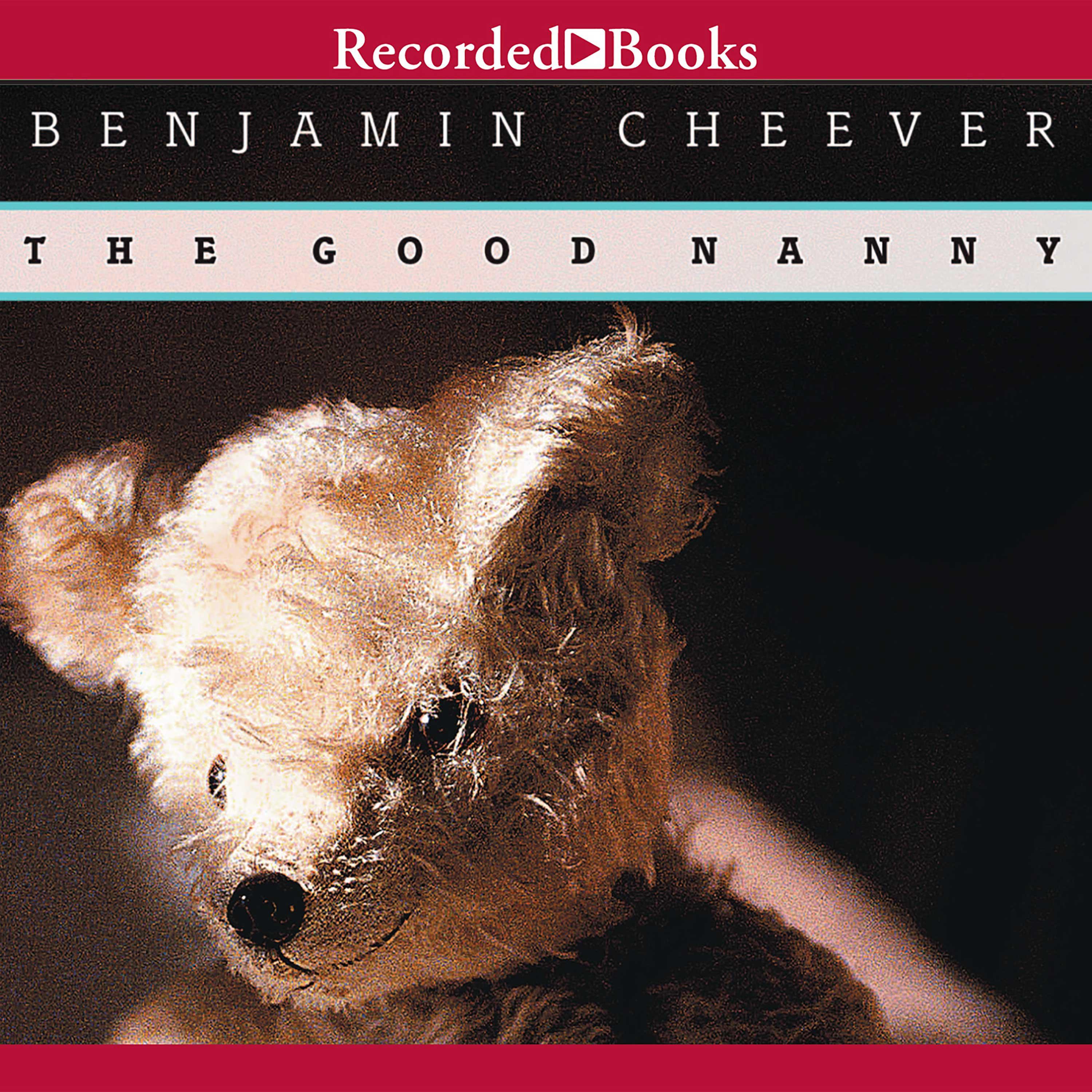 The Good Nanny
