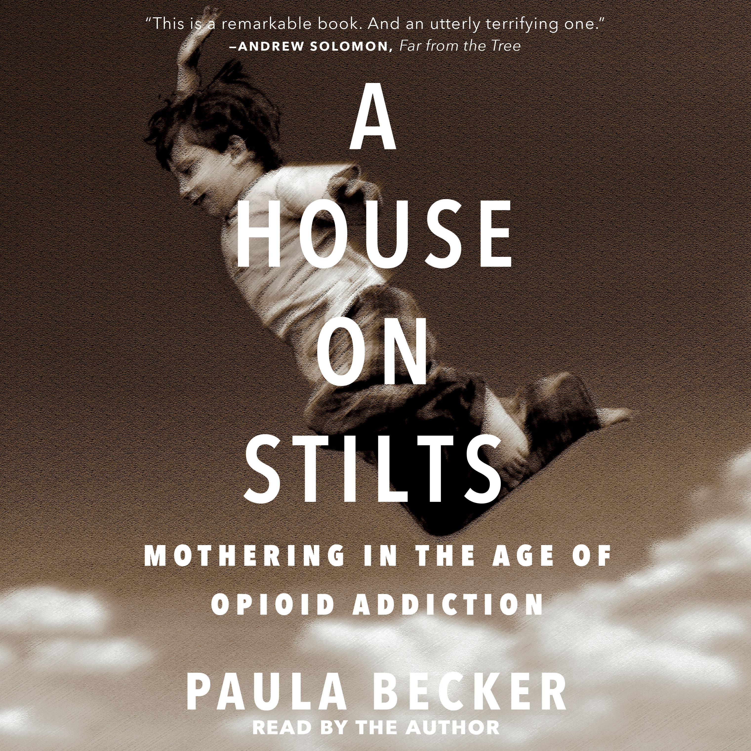 A House on Stilts
