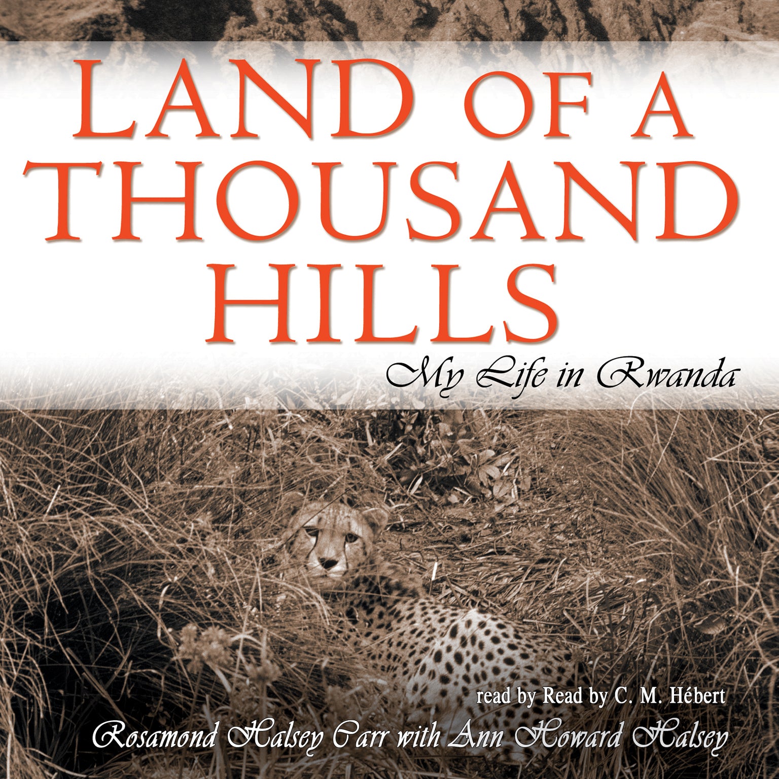 Land of a Thousand Hills