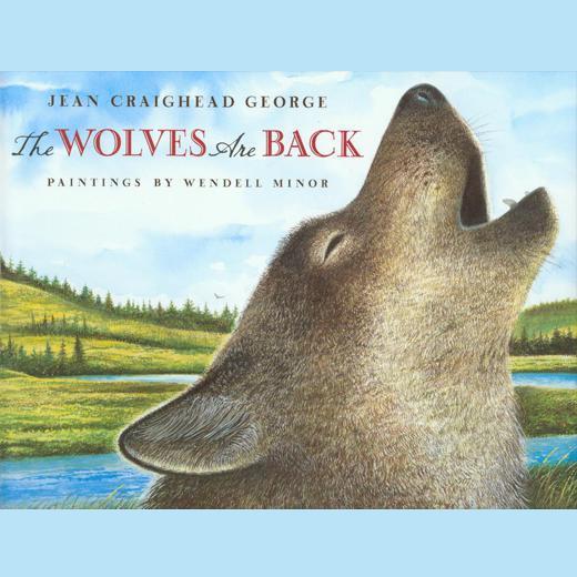 The Wolves are Back