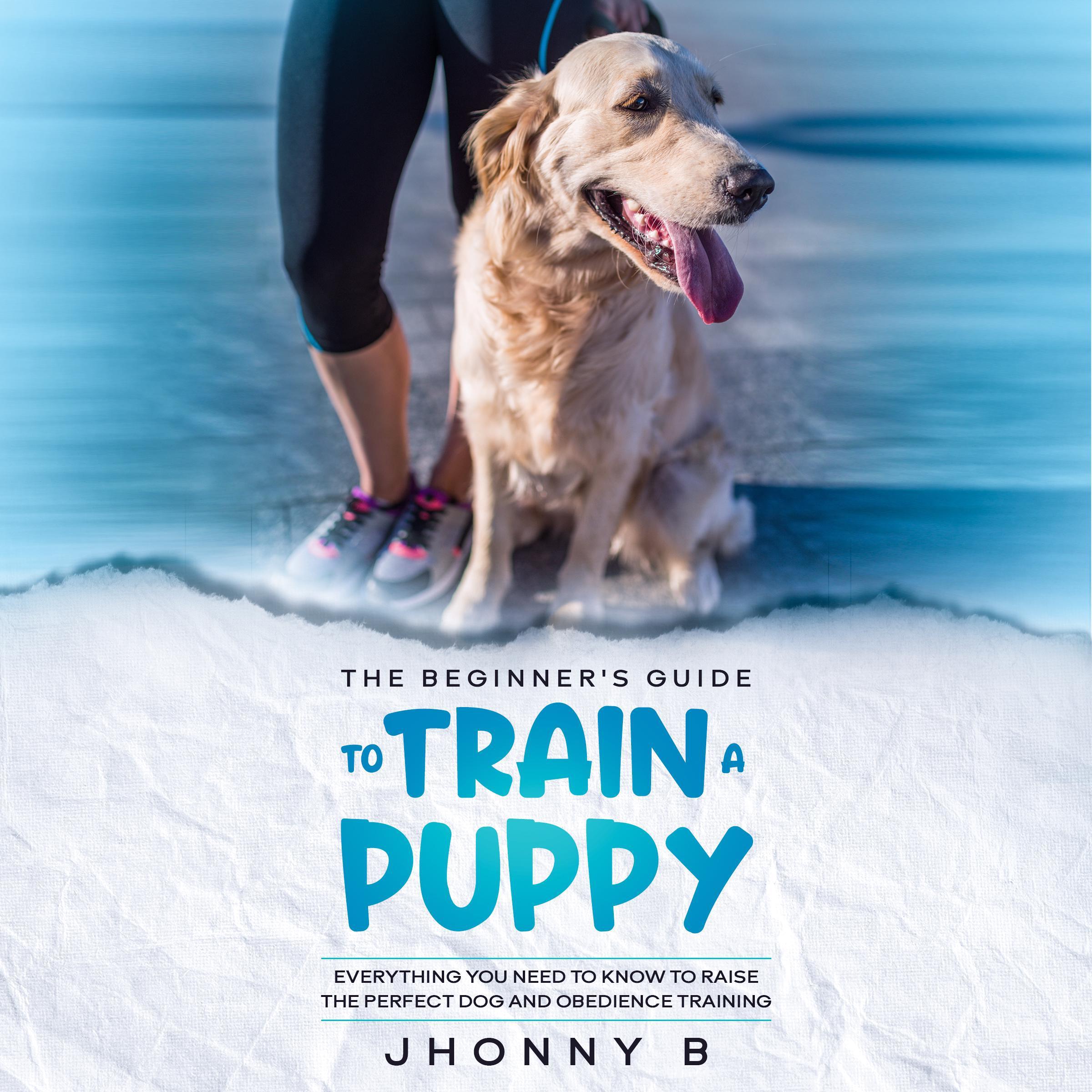 The Beginners Guide to Train a Puppy