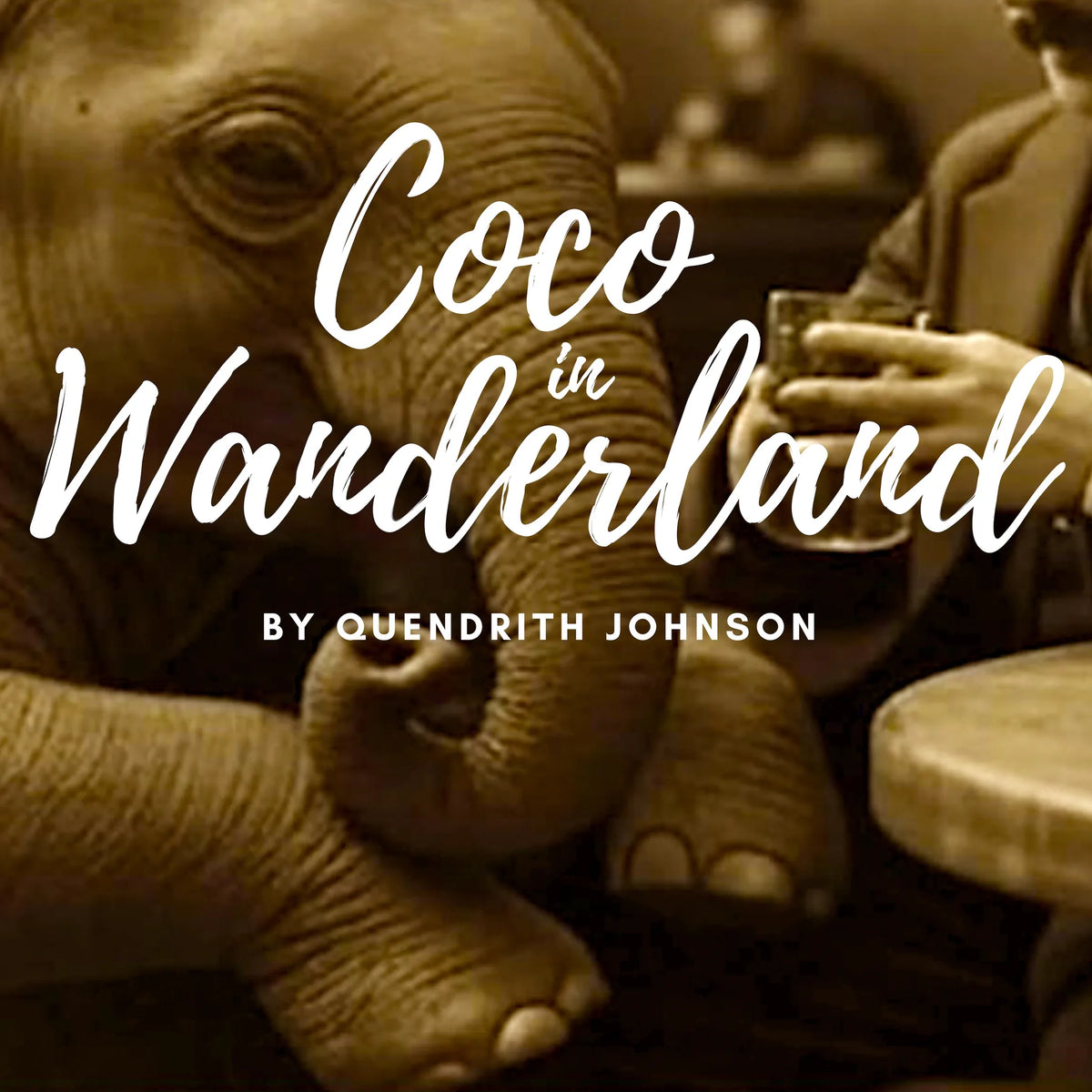 COCO IN WANDERLAND
