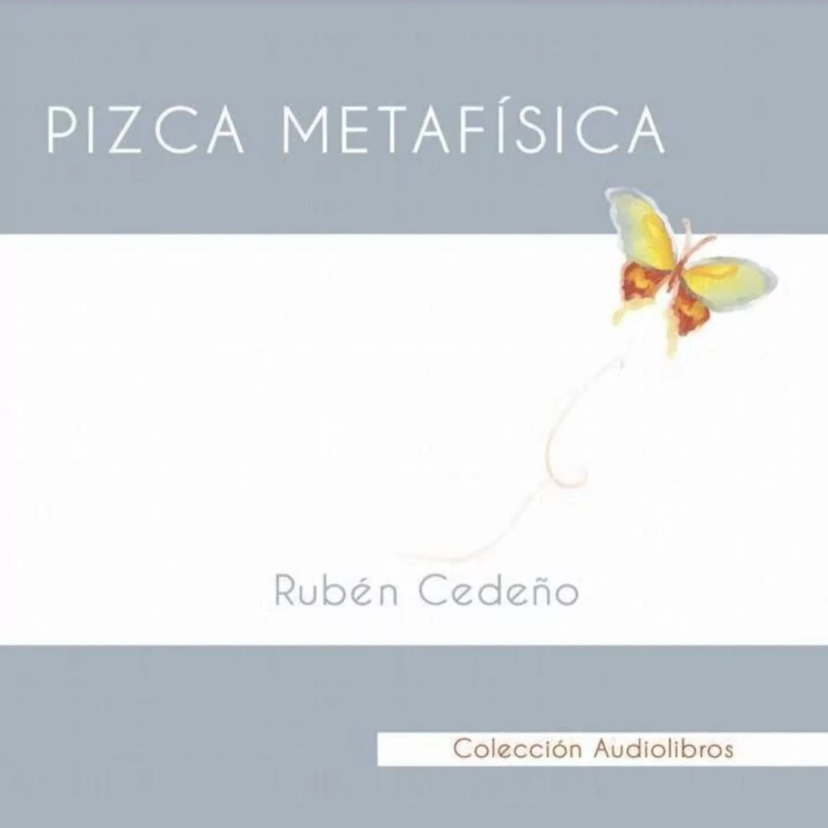 Pizca Metafísica