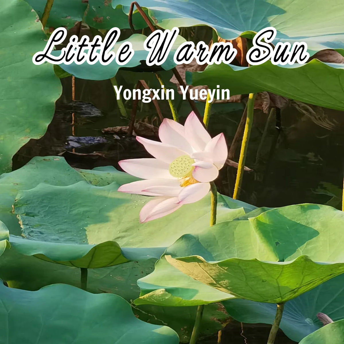 Little Warm Sun Vol.2 Episode 2