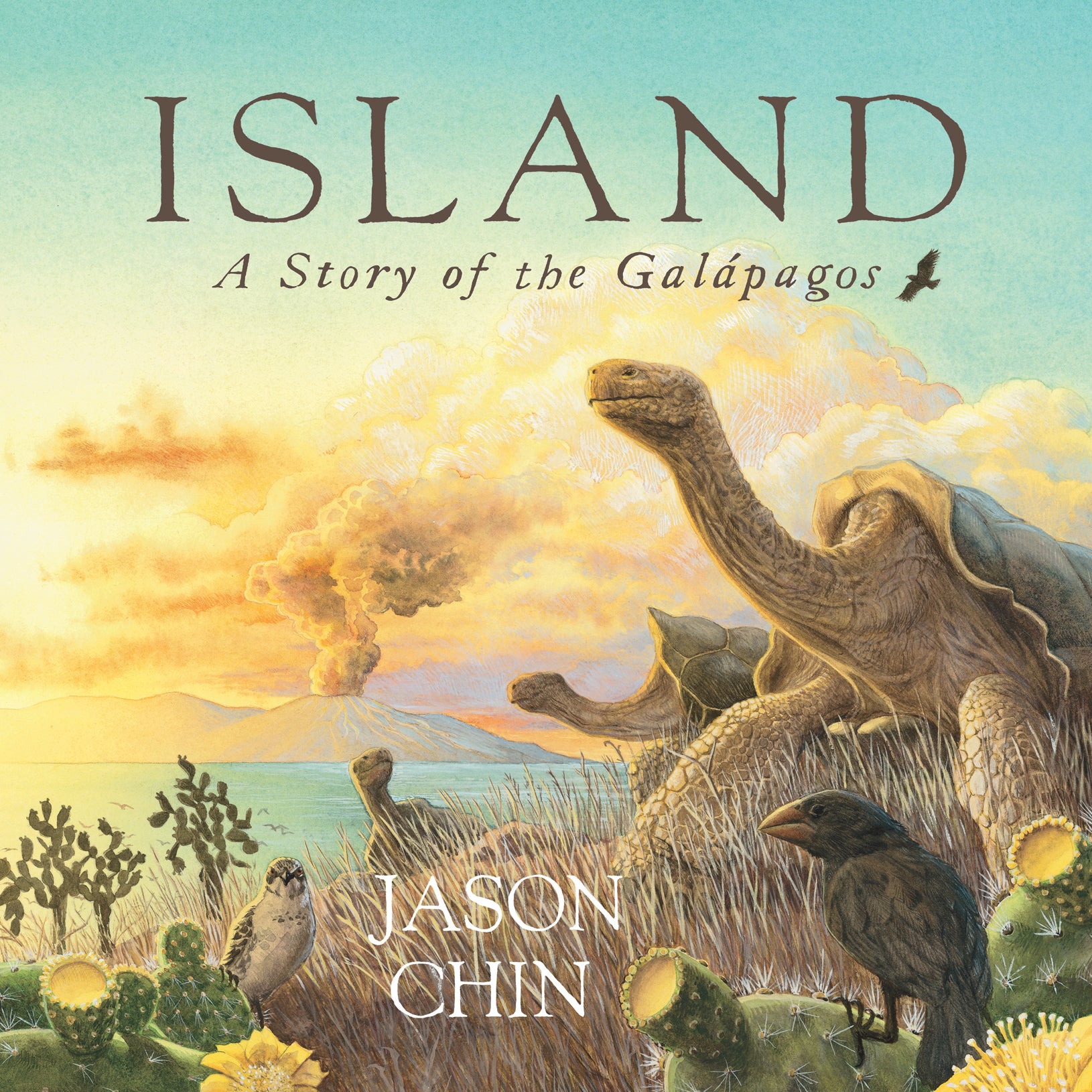 Island