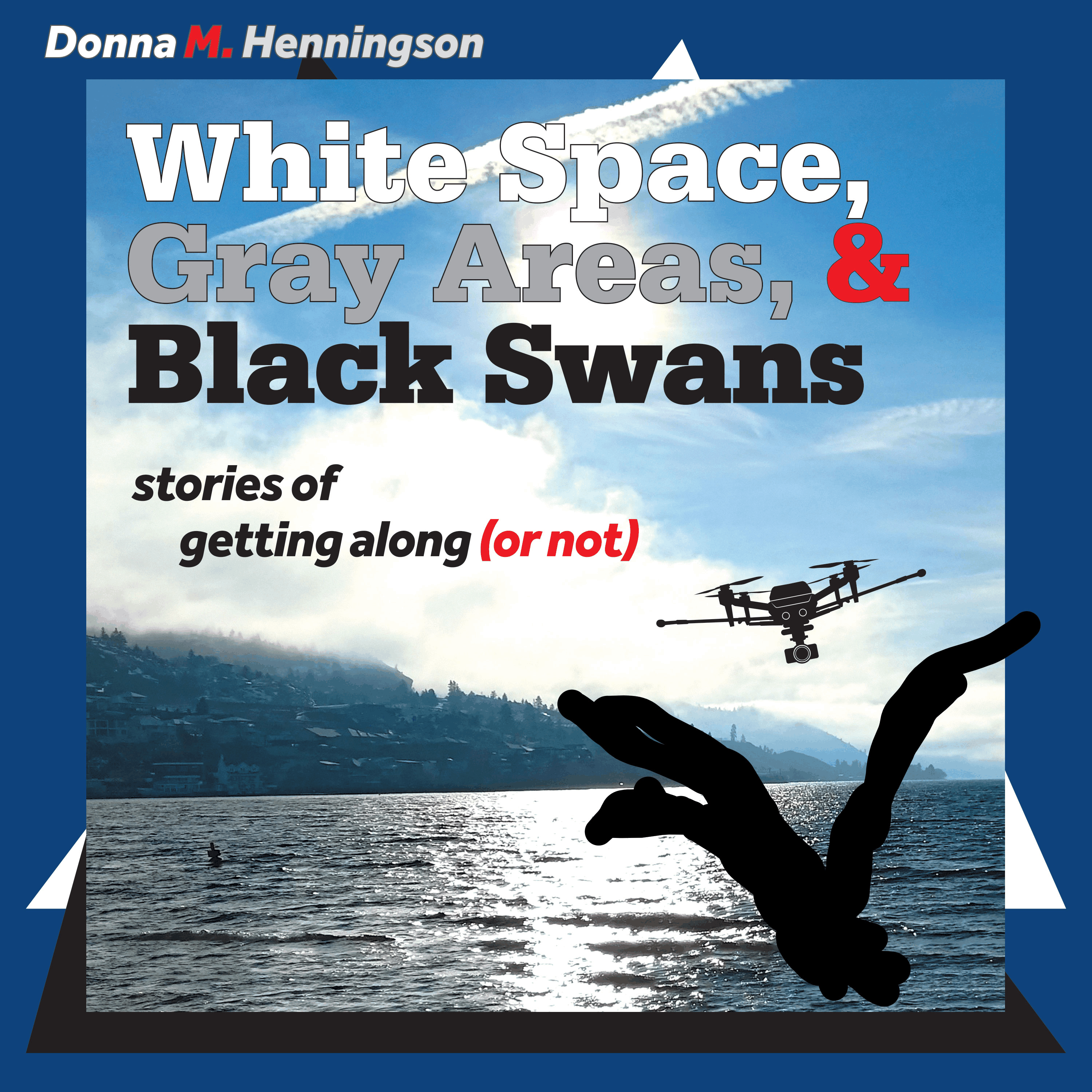 White Space, Gray Areas & Black Swans