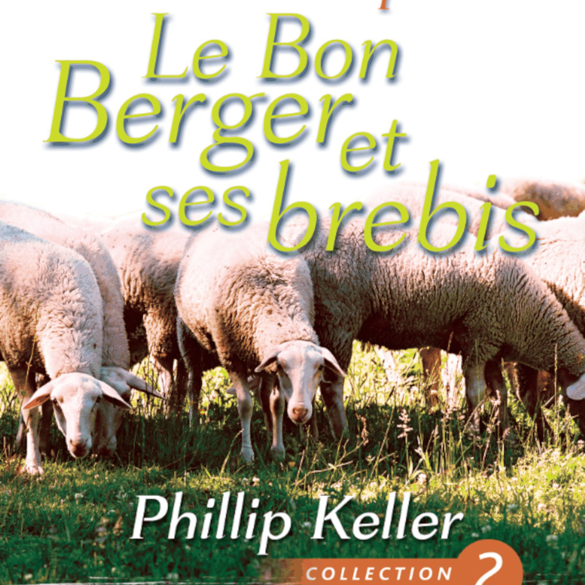 Un berger contemple le Bon Berger et ses brebis