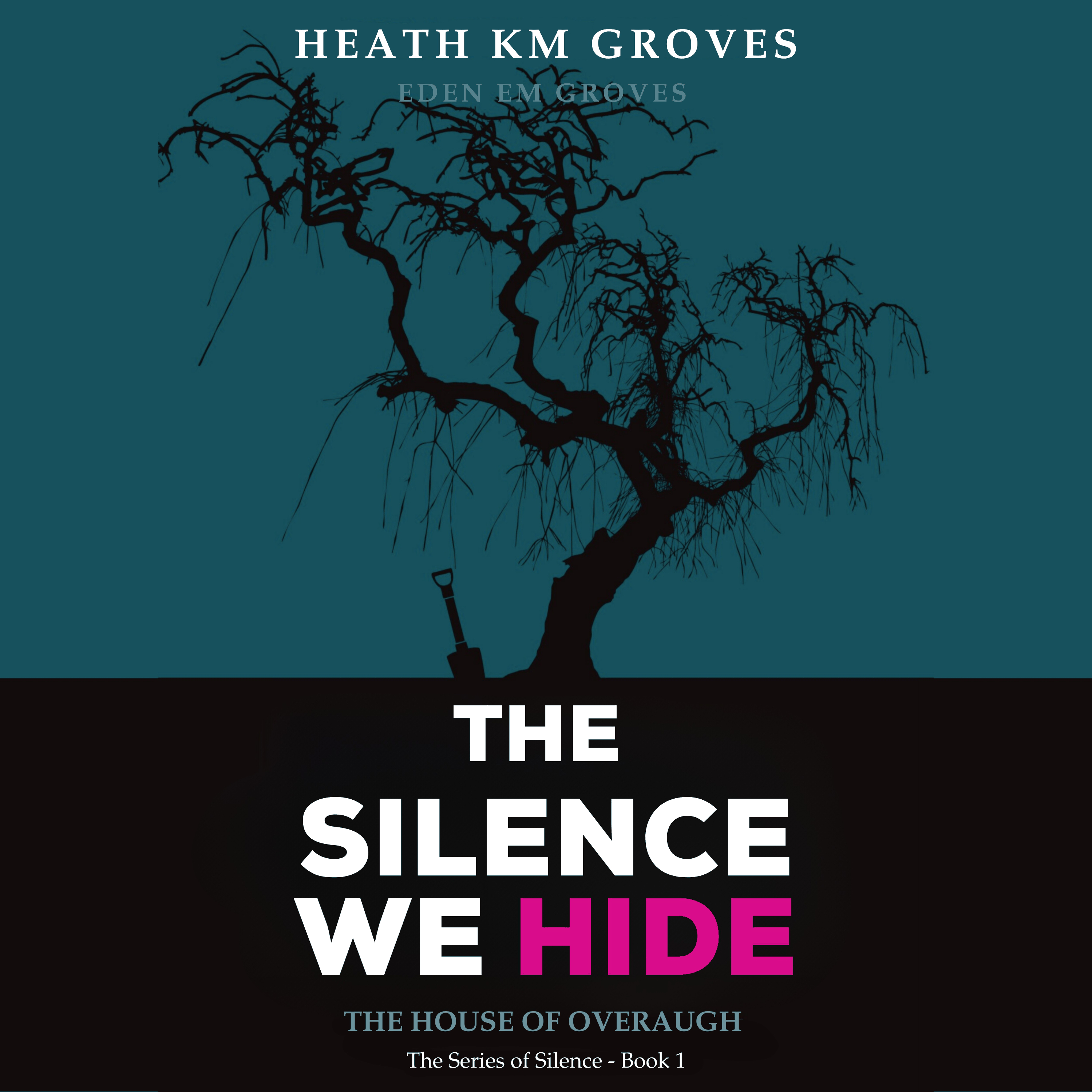 The Silence We Hide