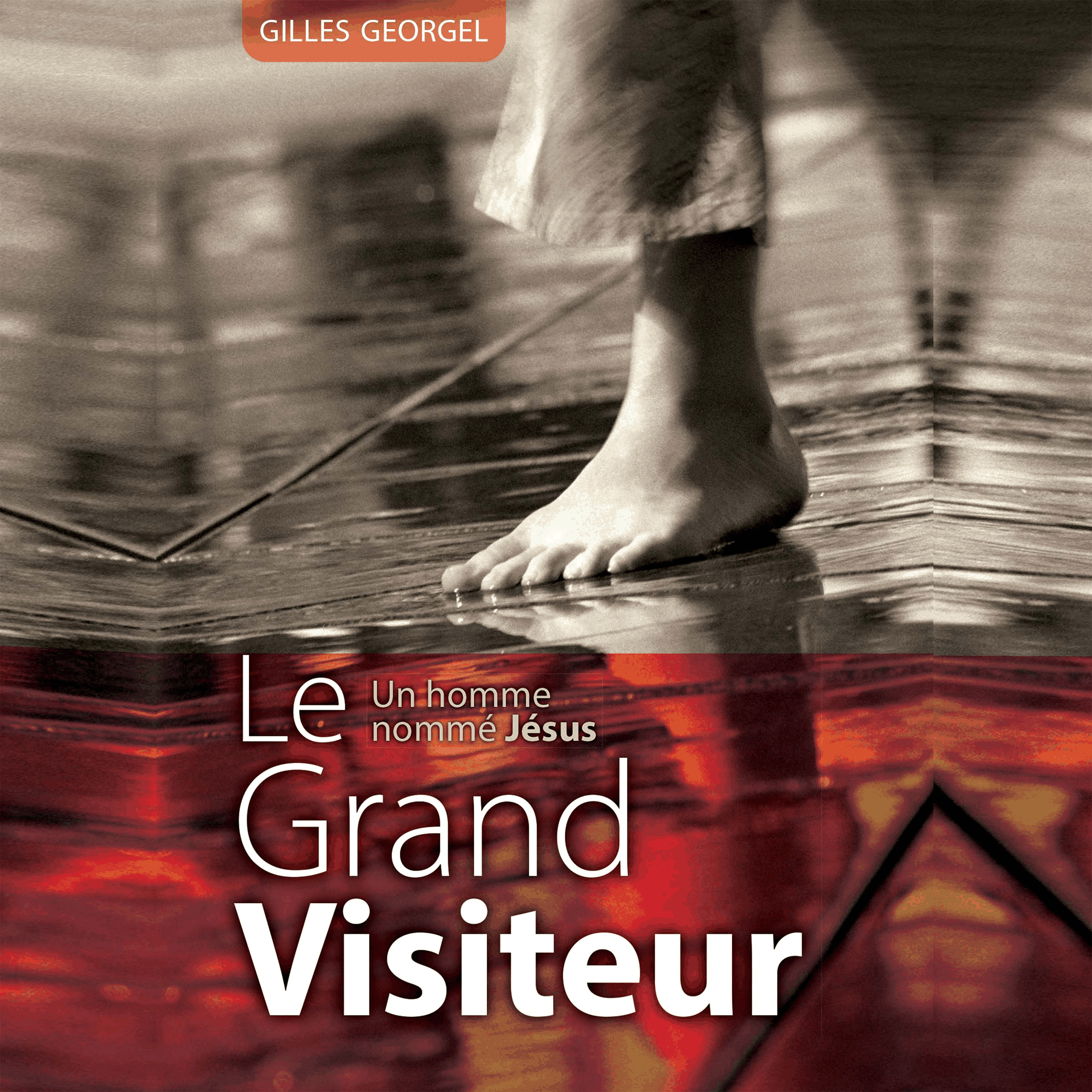 Le grand visiteur