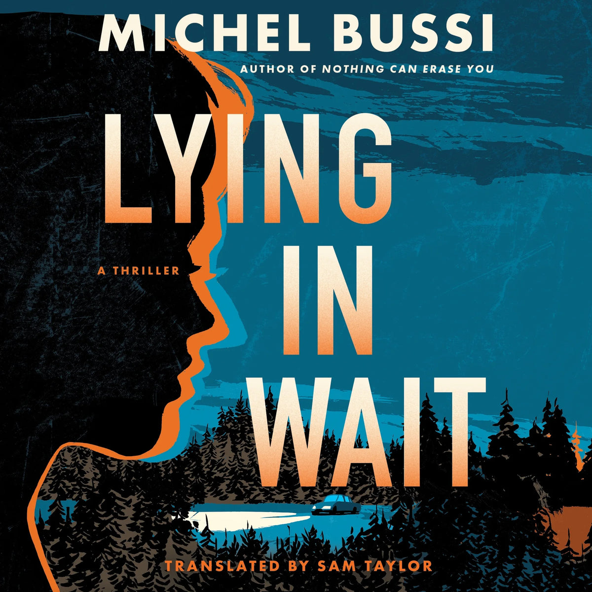 Lying in Wait