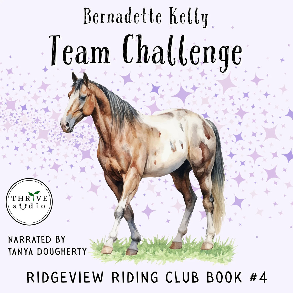 Team Challenge