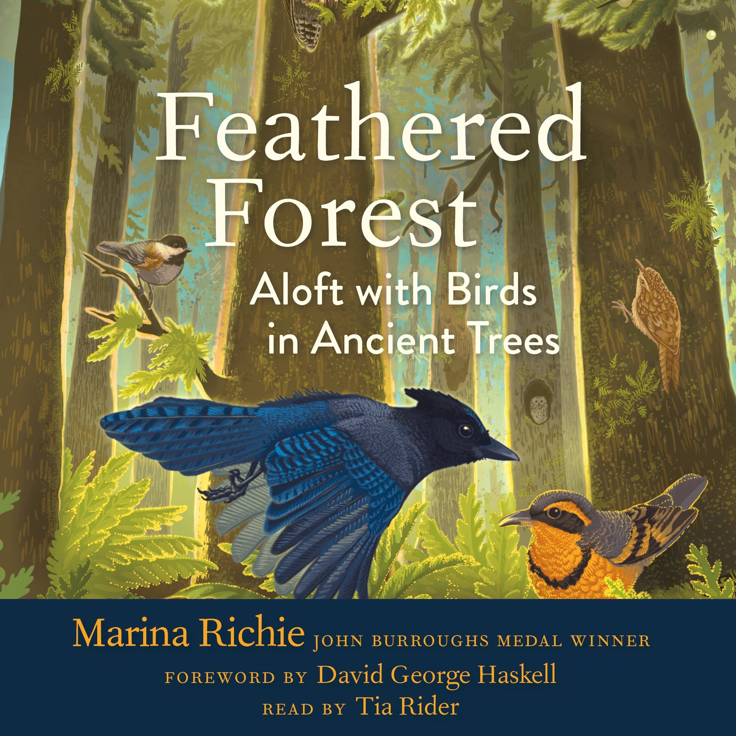 Feathered Forest