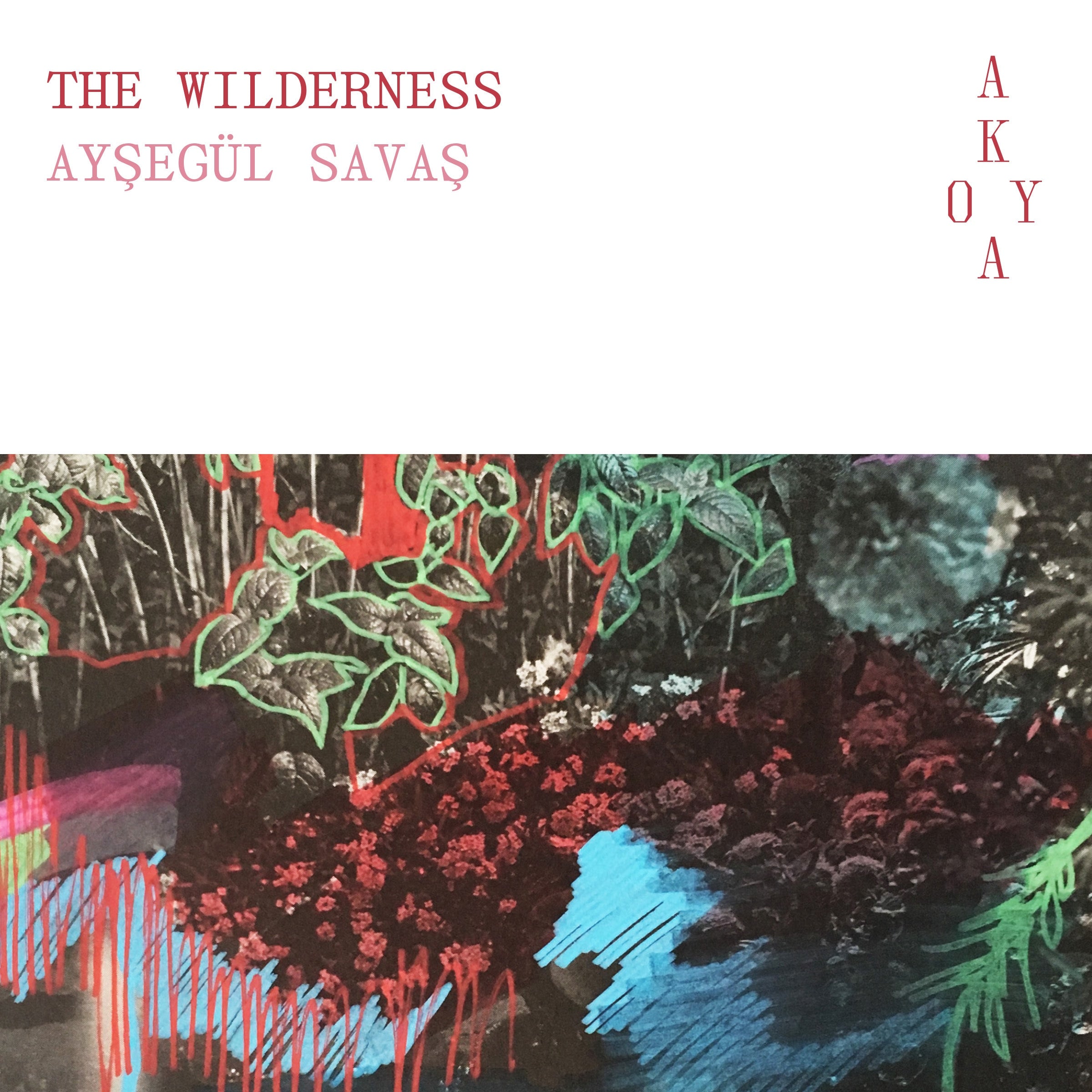The Wilderness