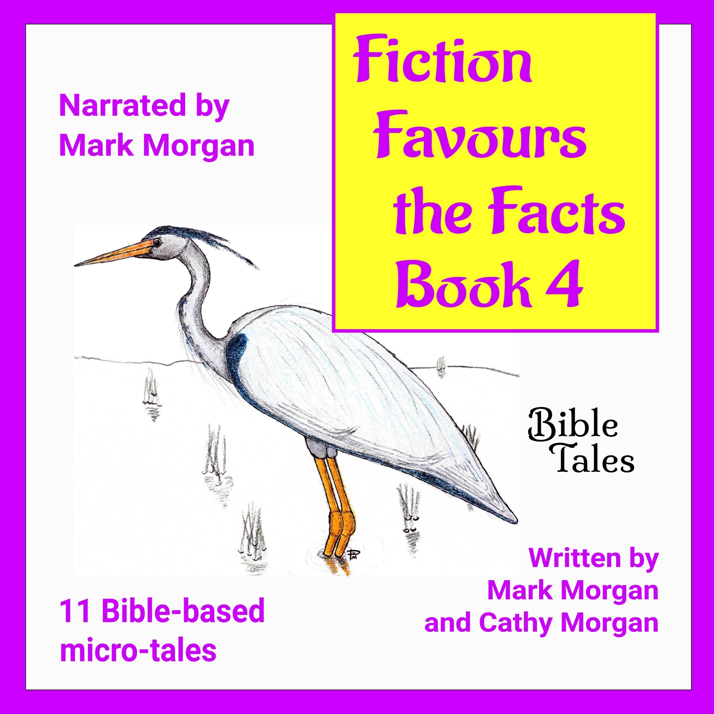 Fiction Favours the Facts - Book 4
