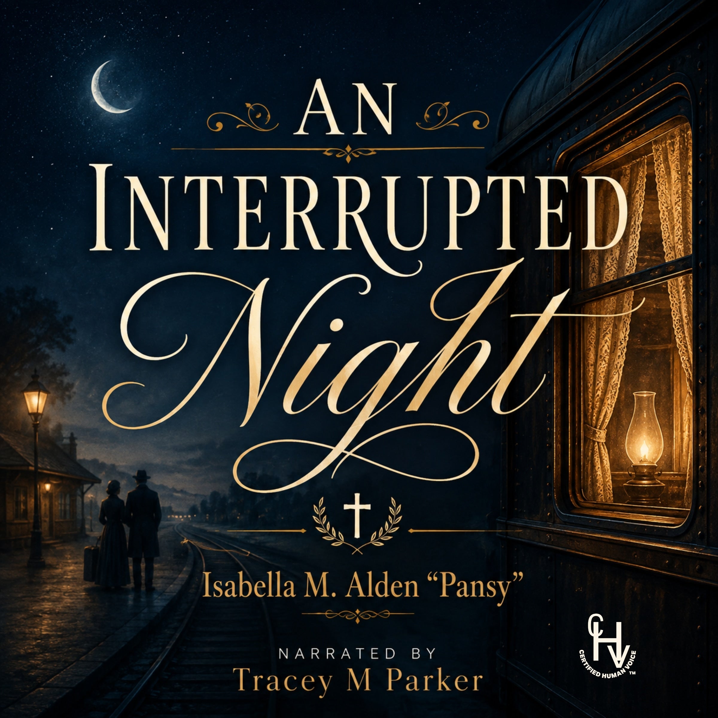 An Interrupted Night