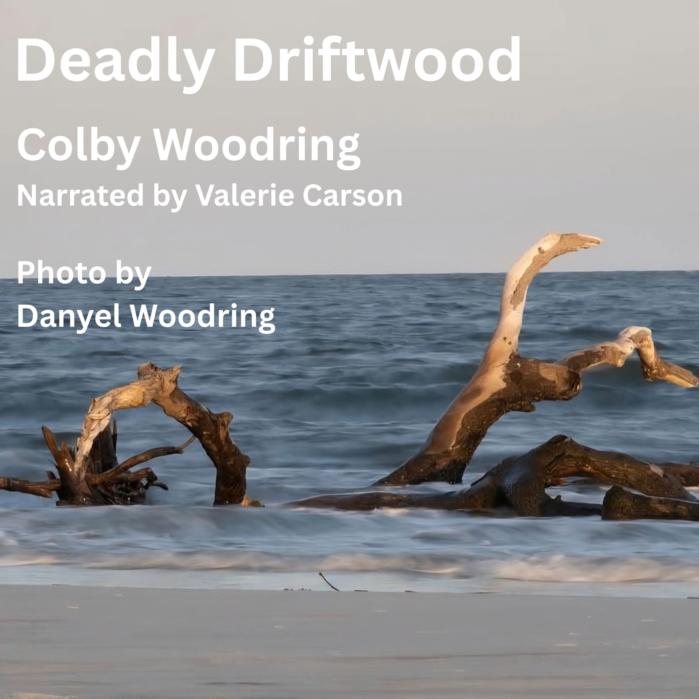 Deadly Driftwood