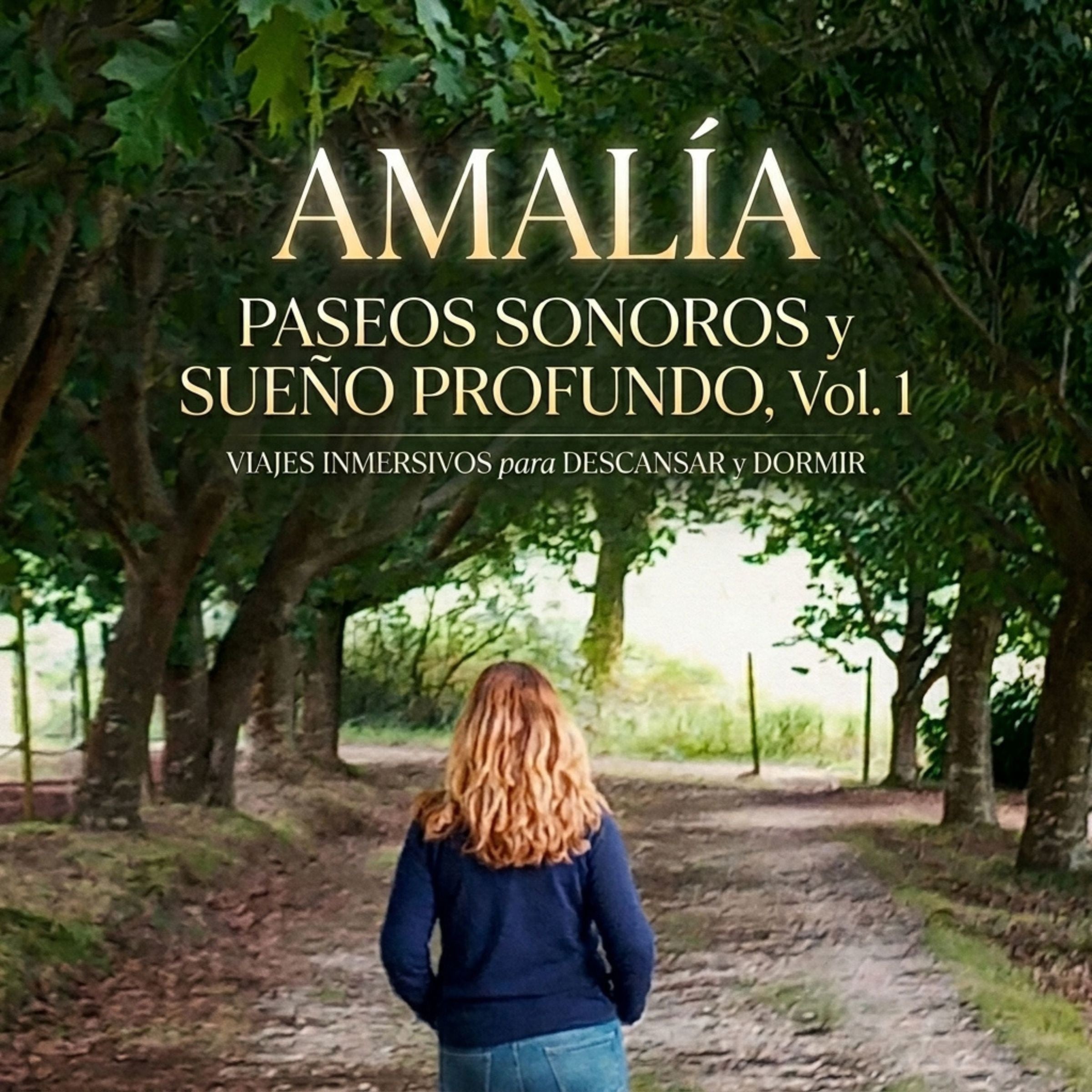 Paseos sonoros y sueño profundo. Vol. 1