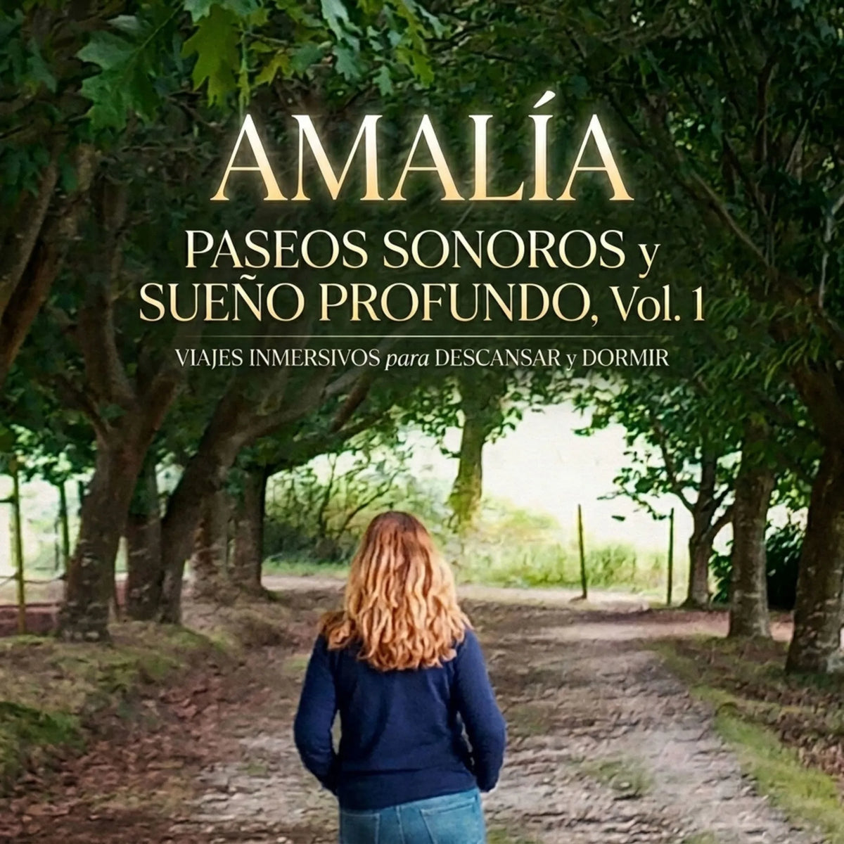 Paseos sonoros y sueño profundo. Vol. 1