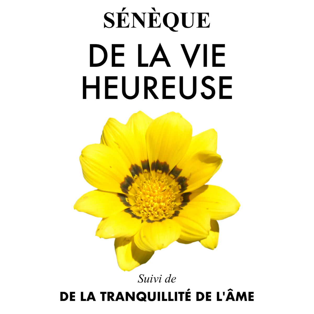 De la vie heureuse - De la tranquillité de l’âme
