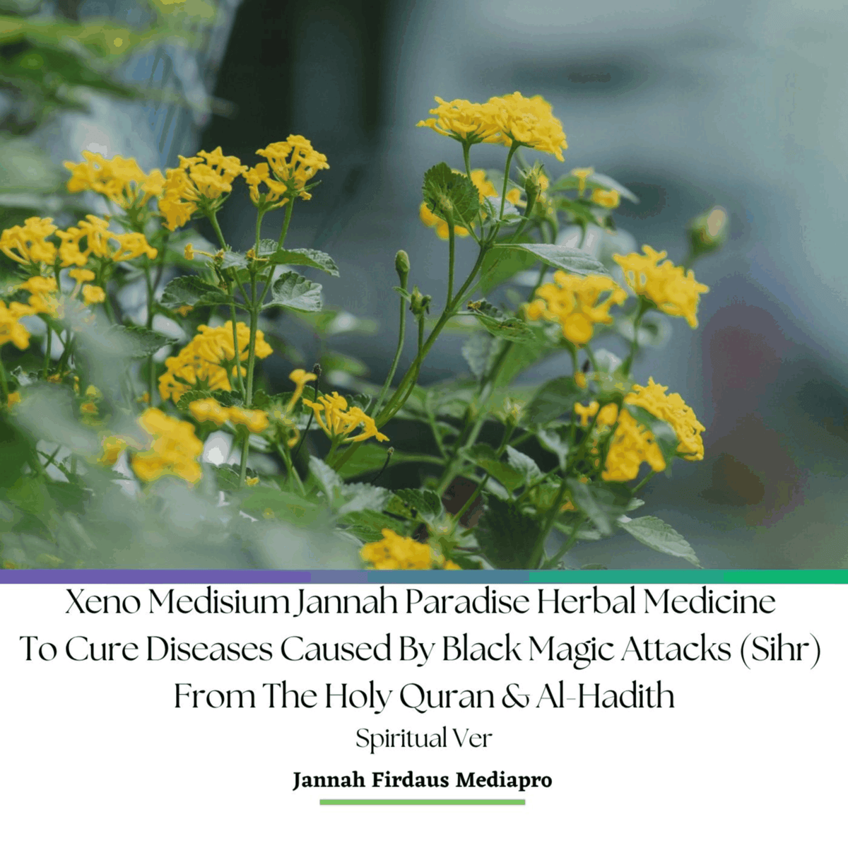Xeno Medisium Jannah Paradise Herbal Medicine To Cure Diseases Caused By Black Magic Attacks (Sihr) From The Holy Quran & Al-Hadith Spiritual Ver