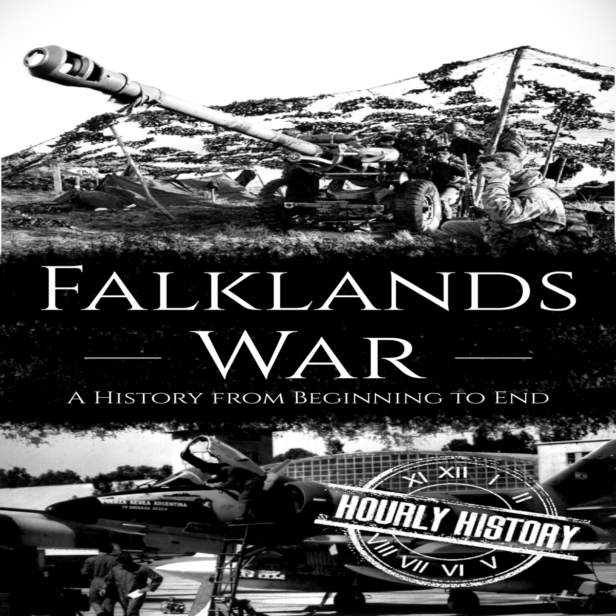 Falklands War