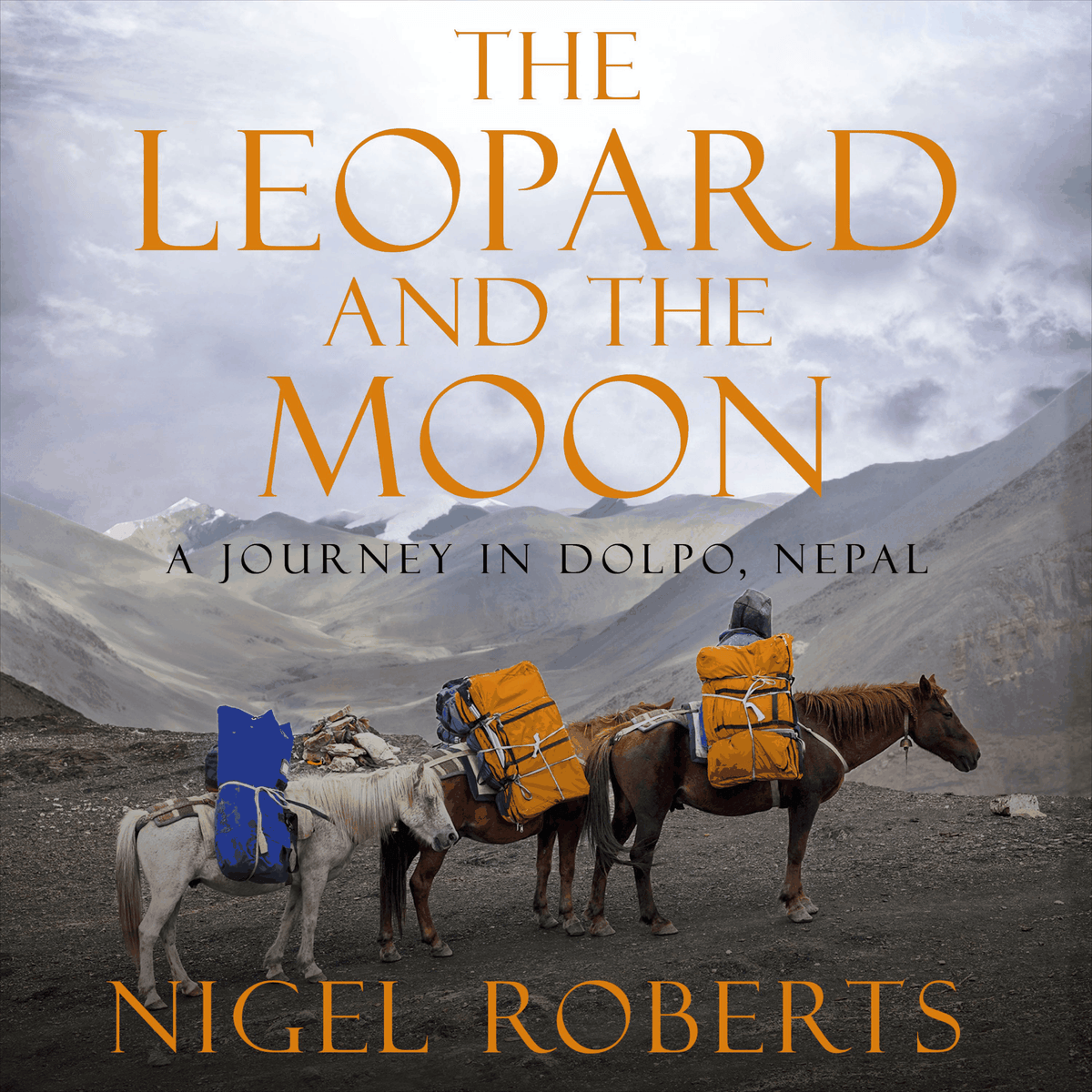 The Leopard and the Moon