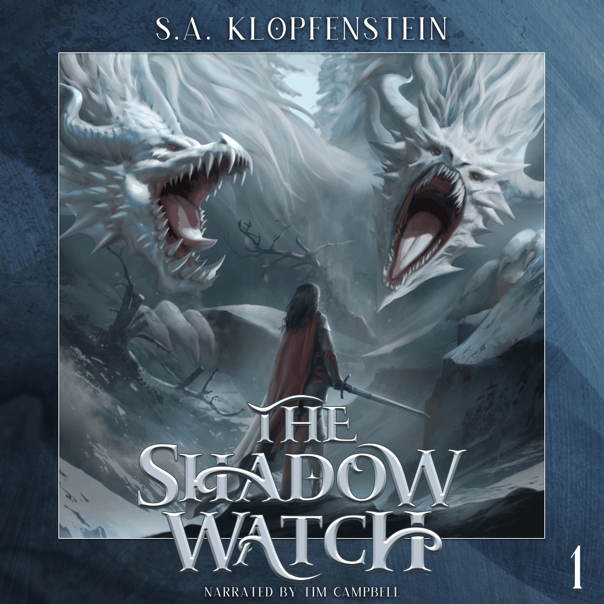 The Shadow Watch