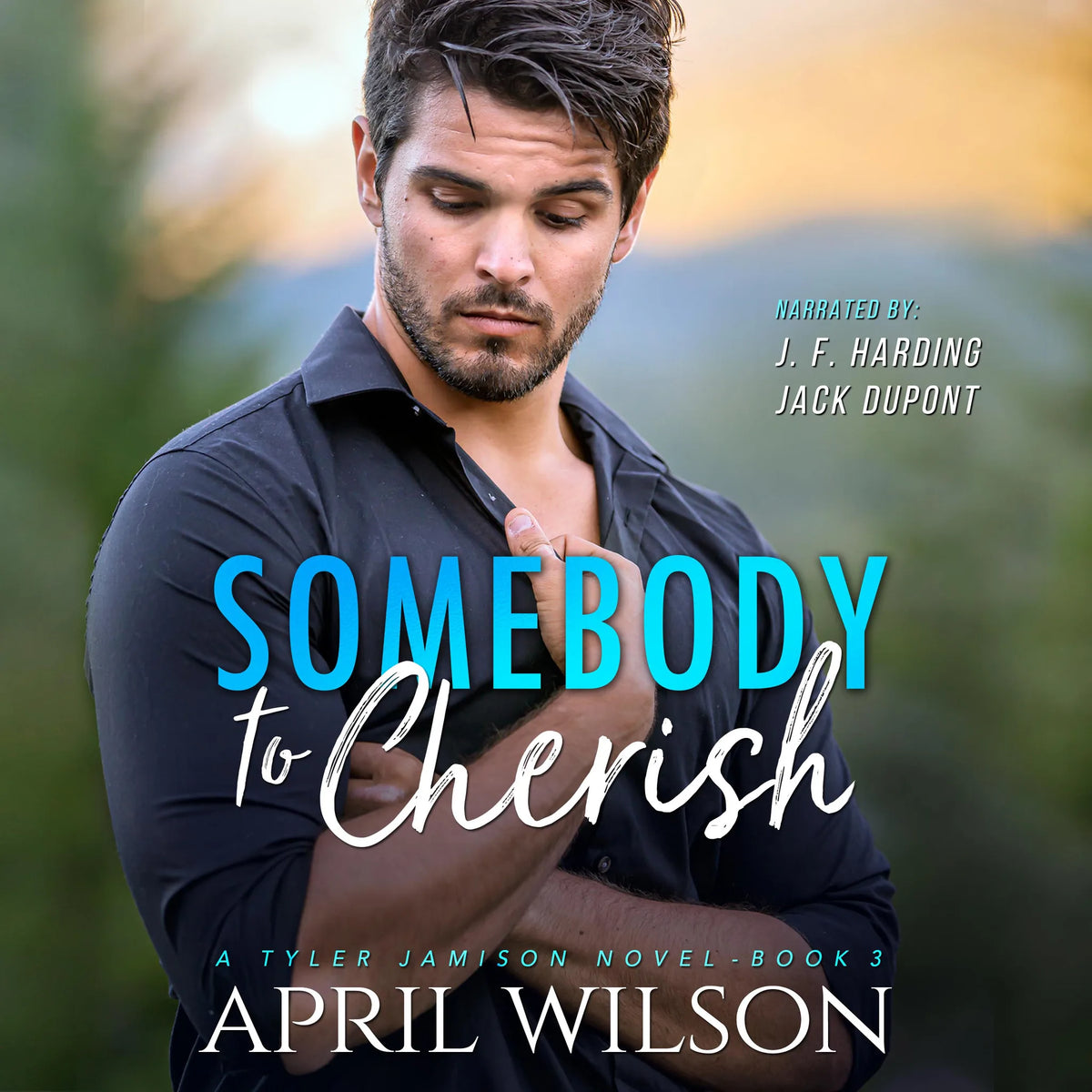 Somebody to Cherish