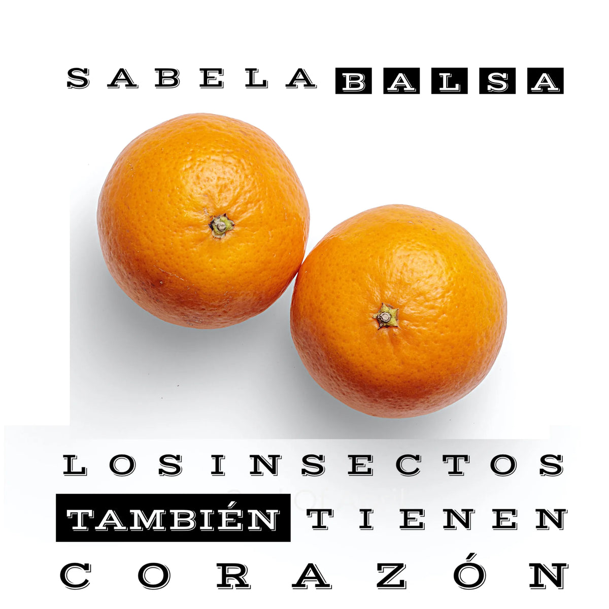 Los insectos también tienen corazón