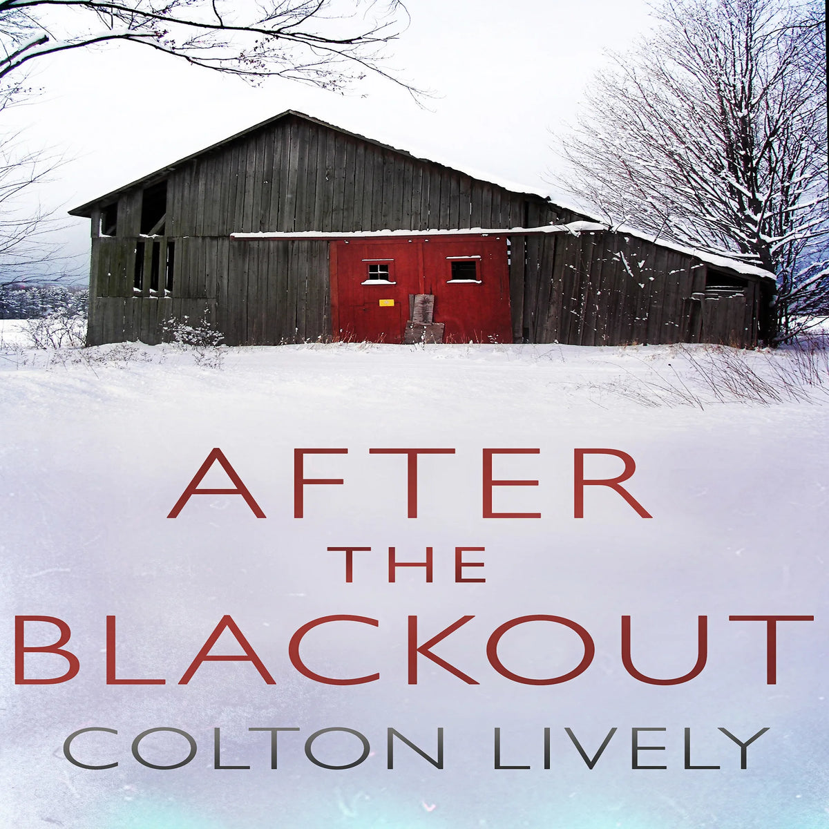 After the Blackout: An EMP Post Apocalypse Prepper Thriller